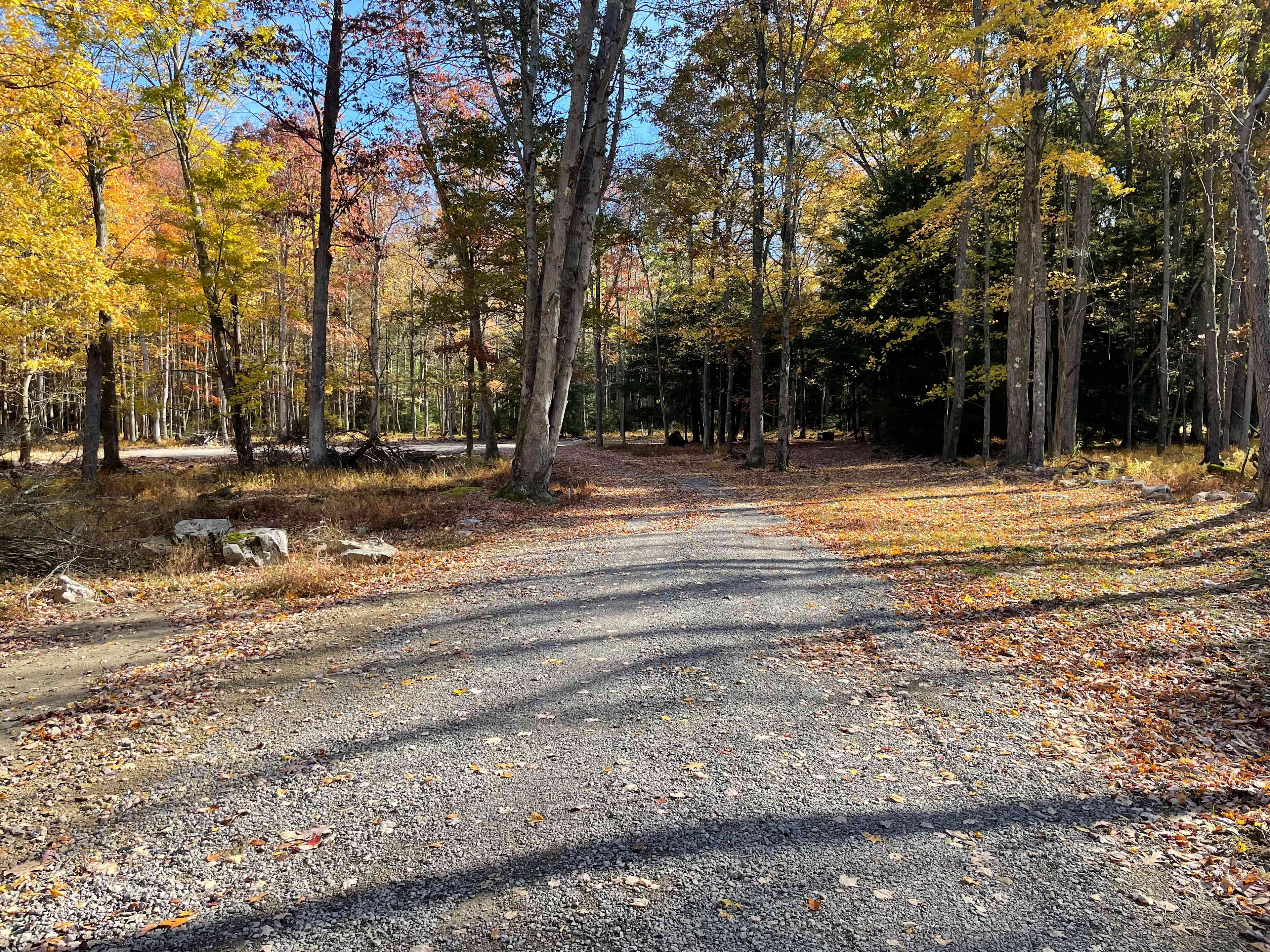 Clear Creek Cook Forest Campsite