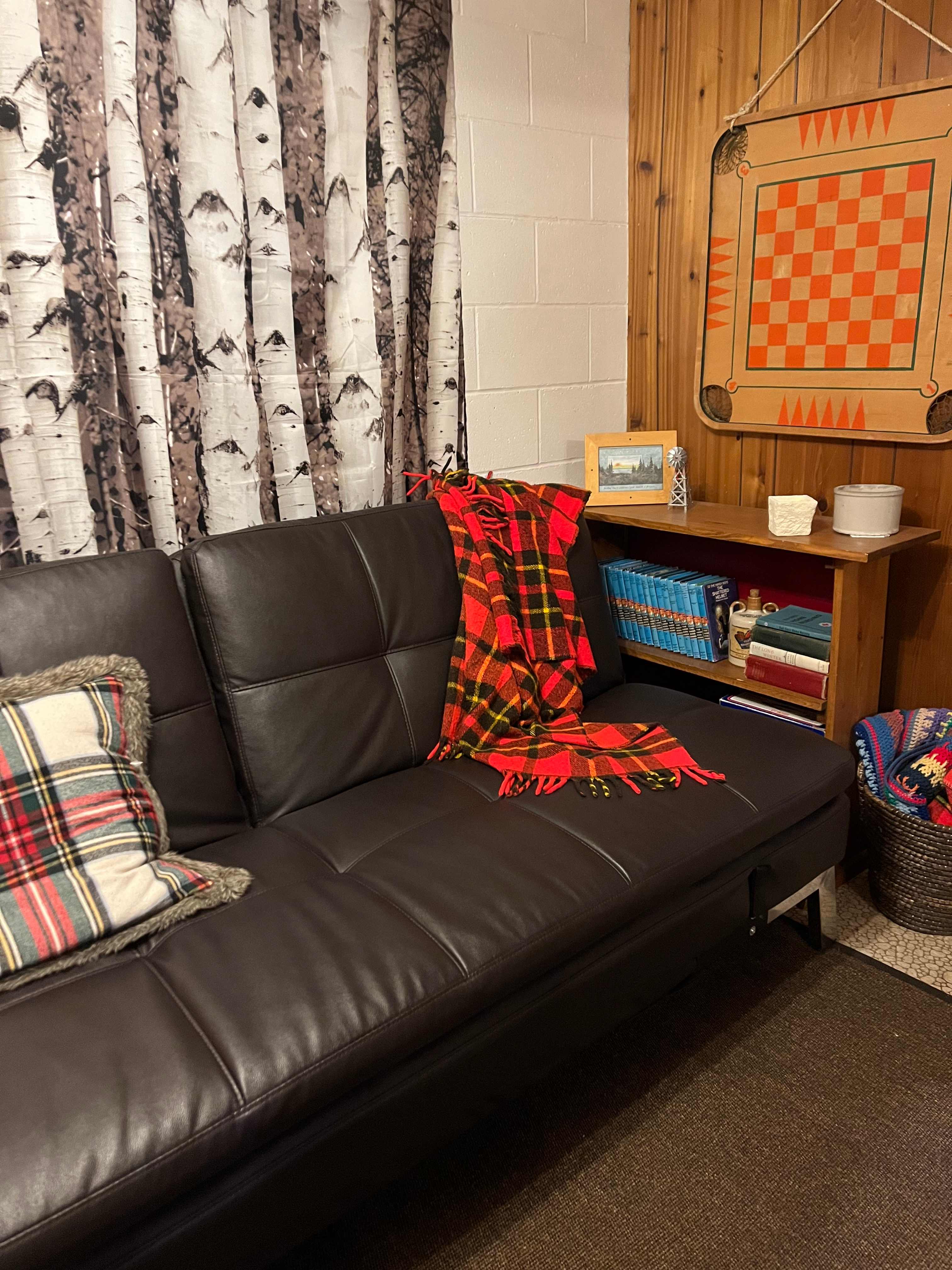 Basement den with TV