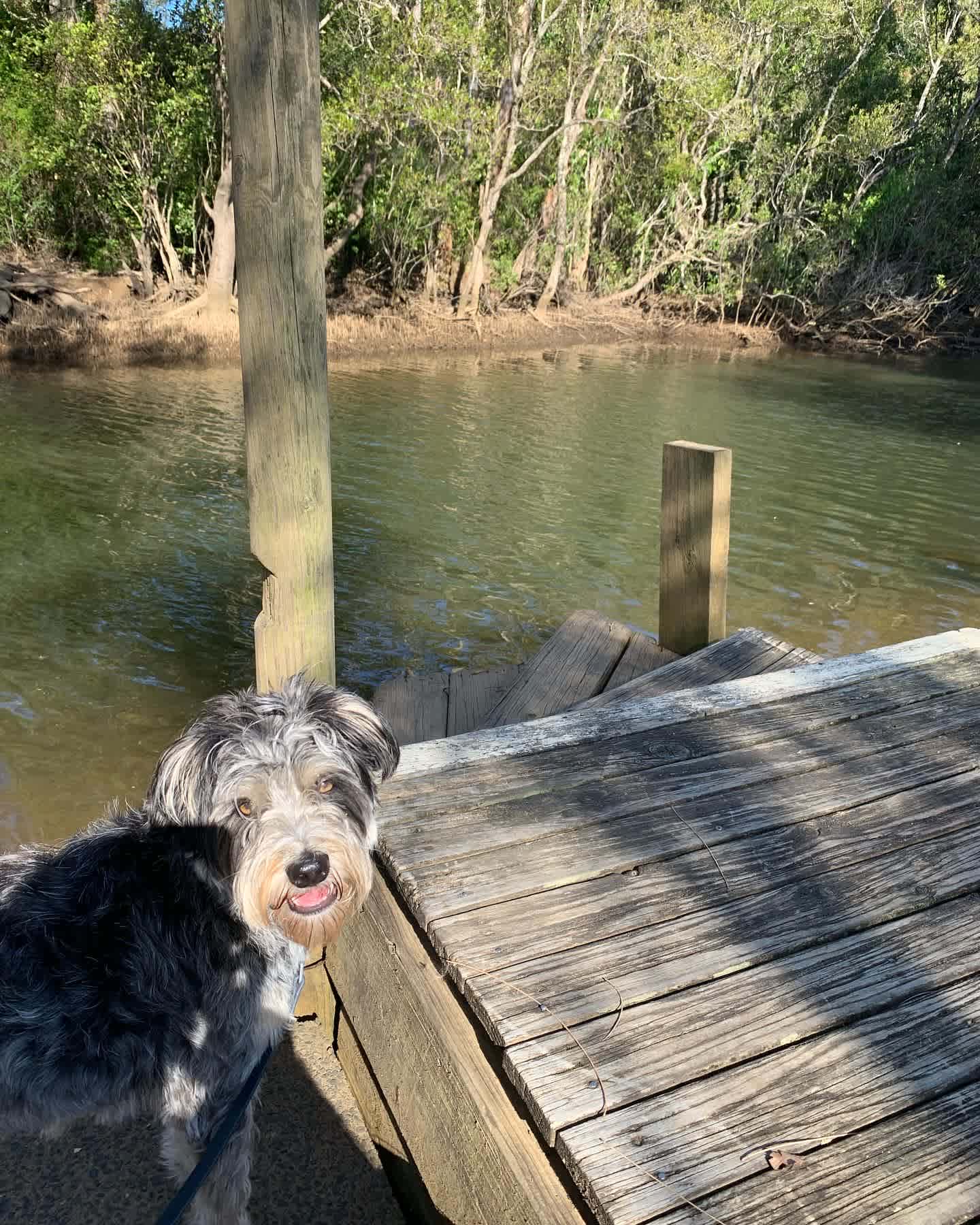 Bellinger River Tourist Park