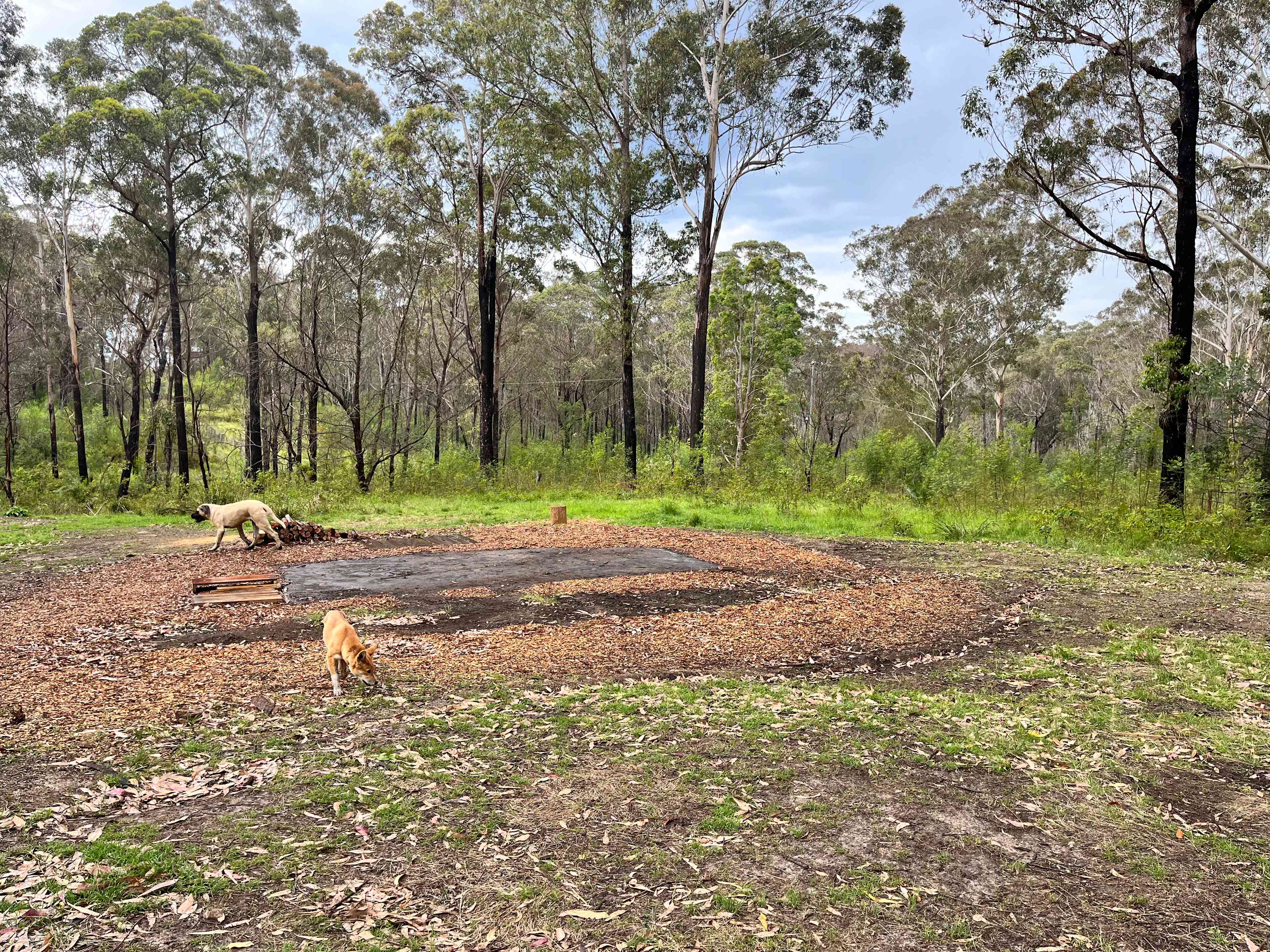 Campsite