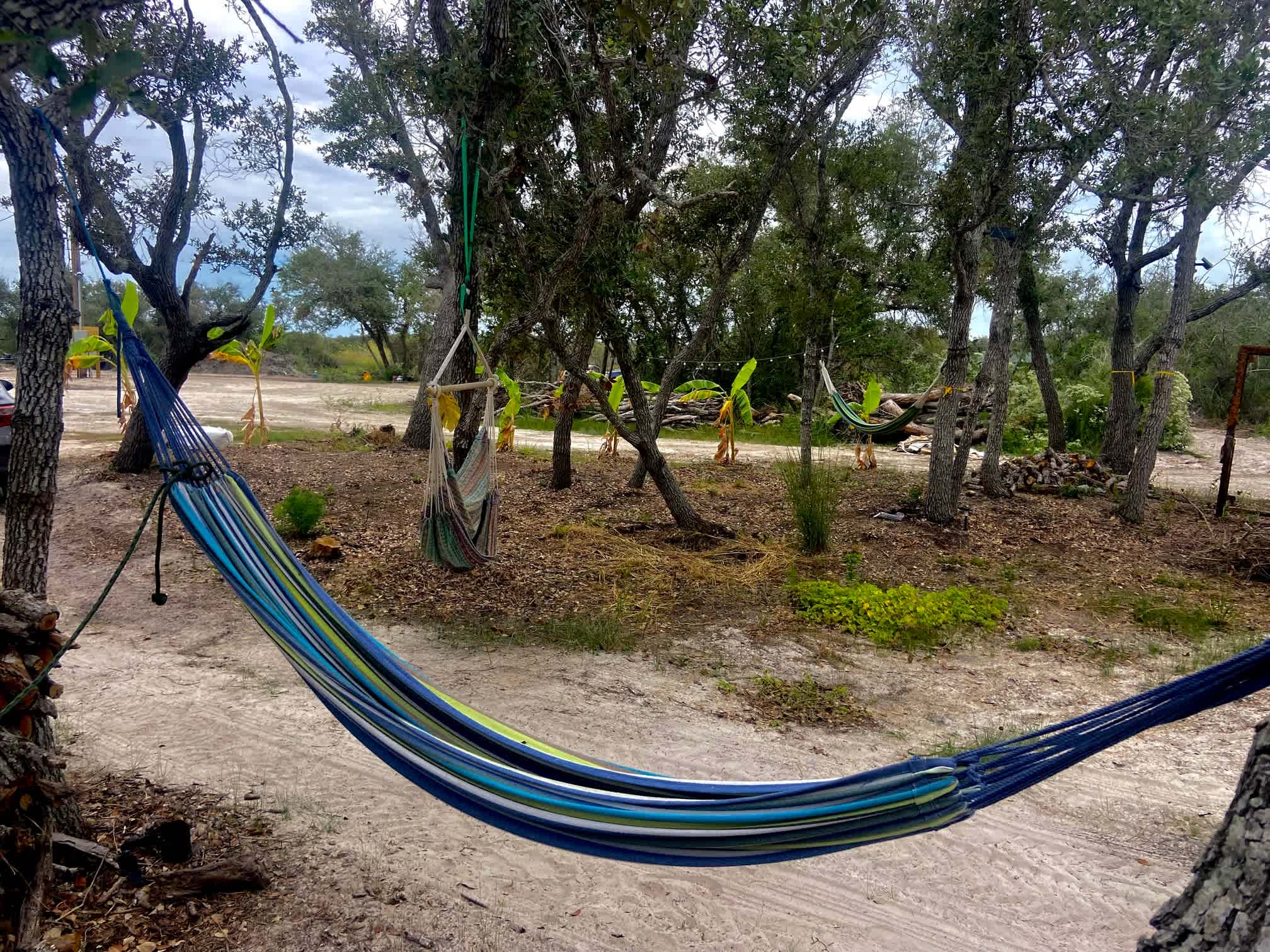 The Hammock Grove 