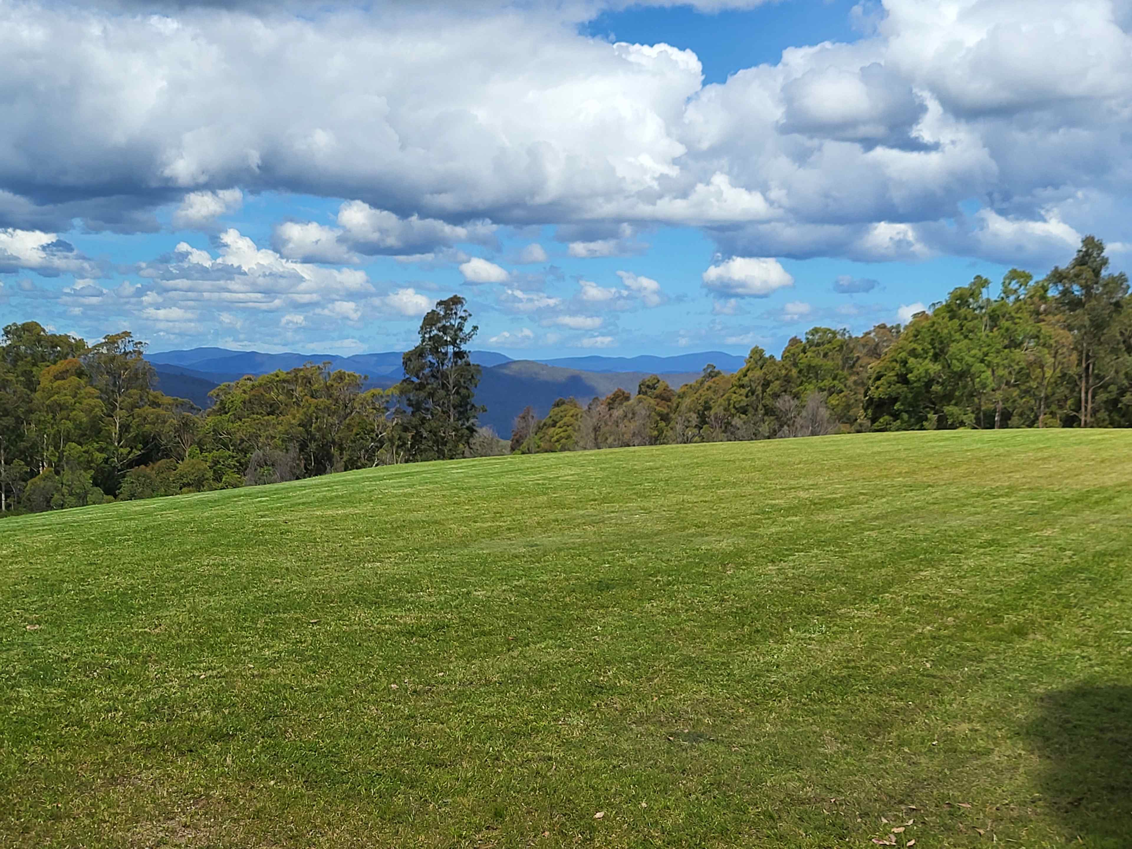 Bonneydoon