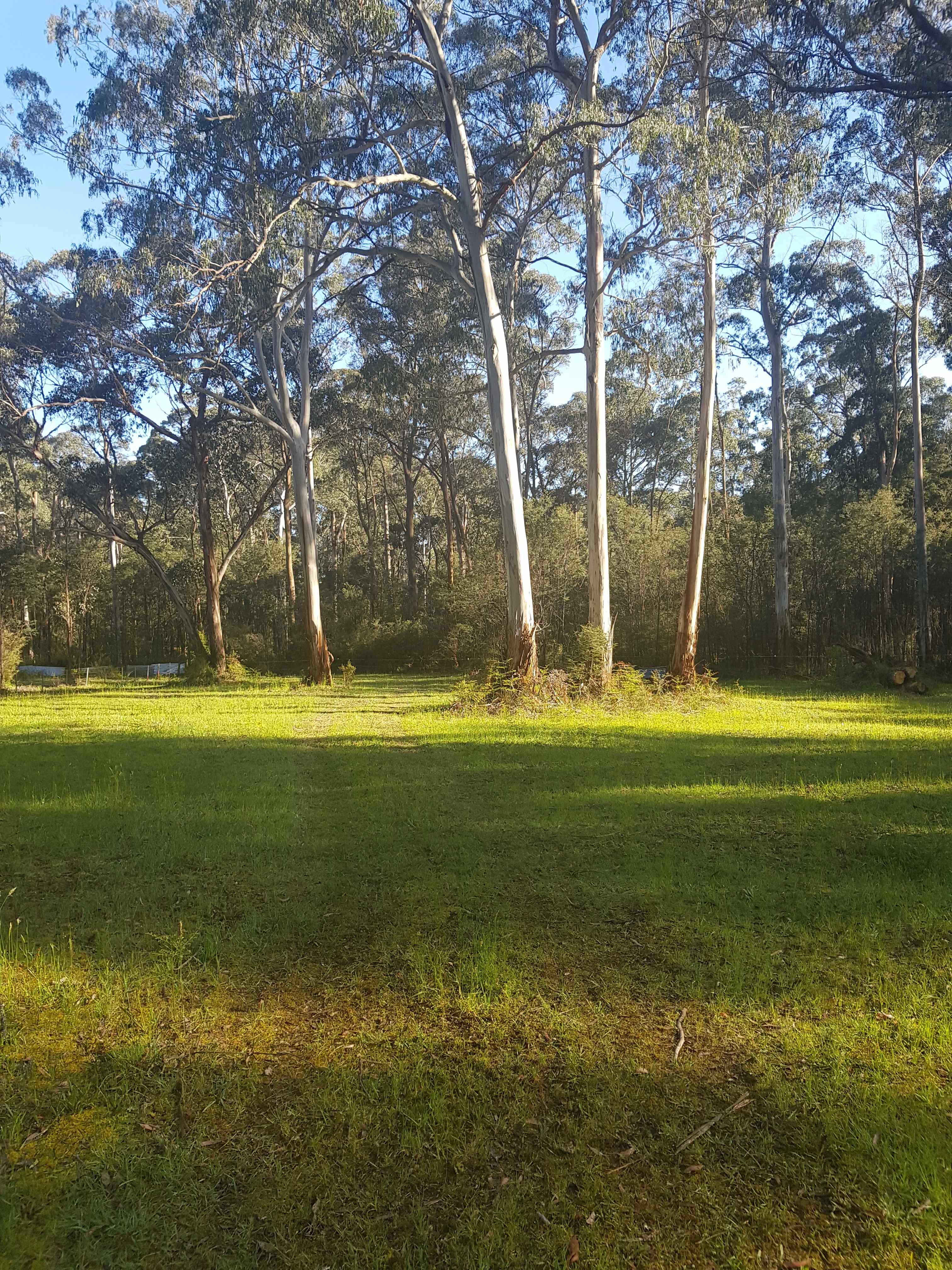 Castella River Farm