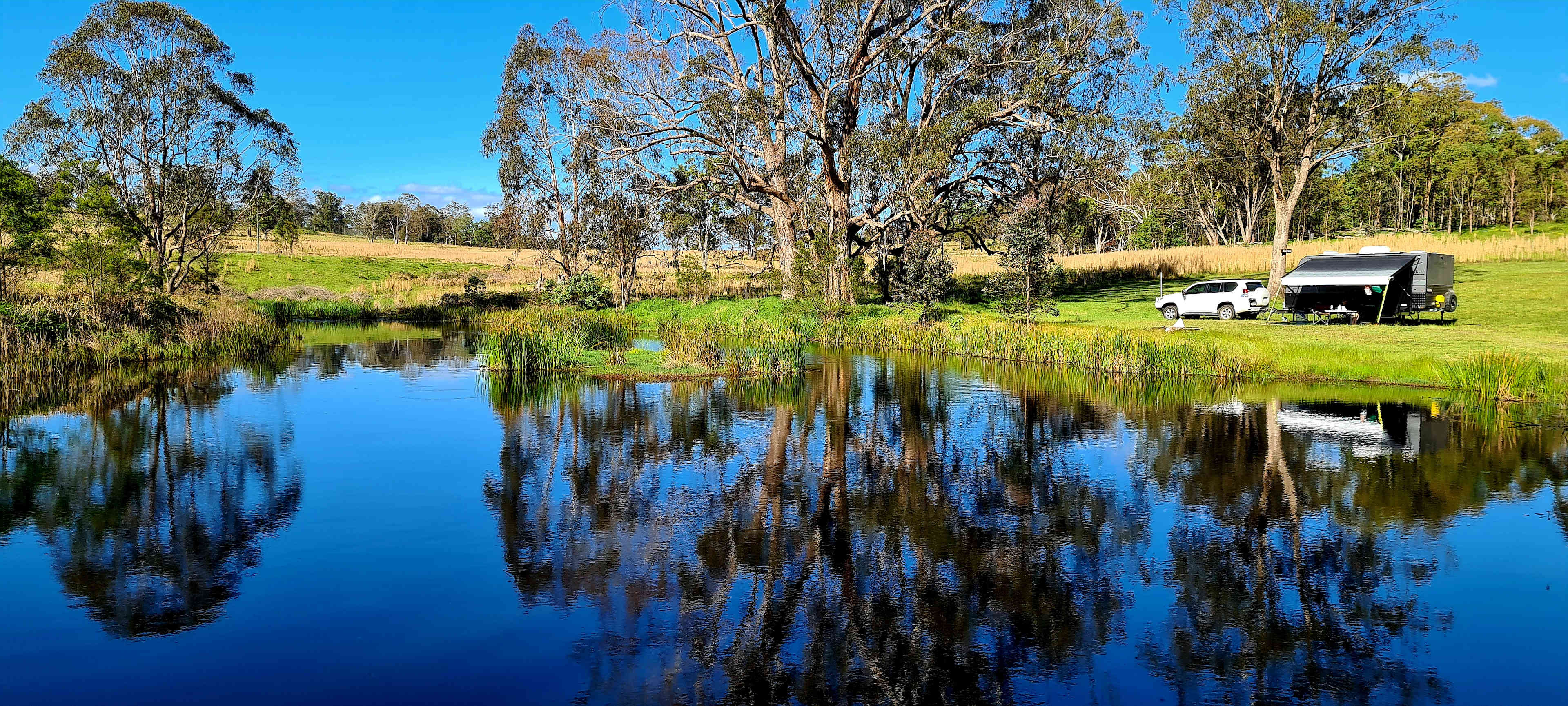 Redgum Site (Site 7)