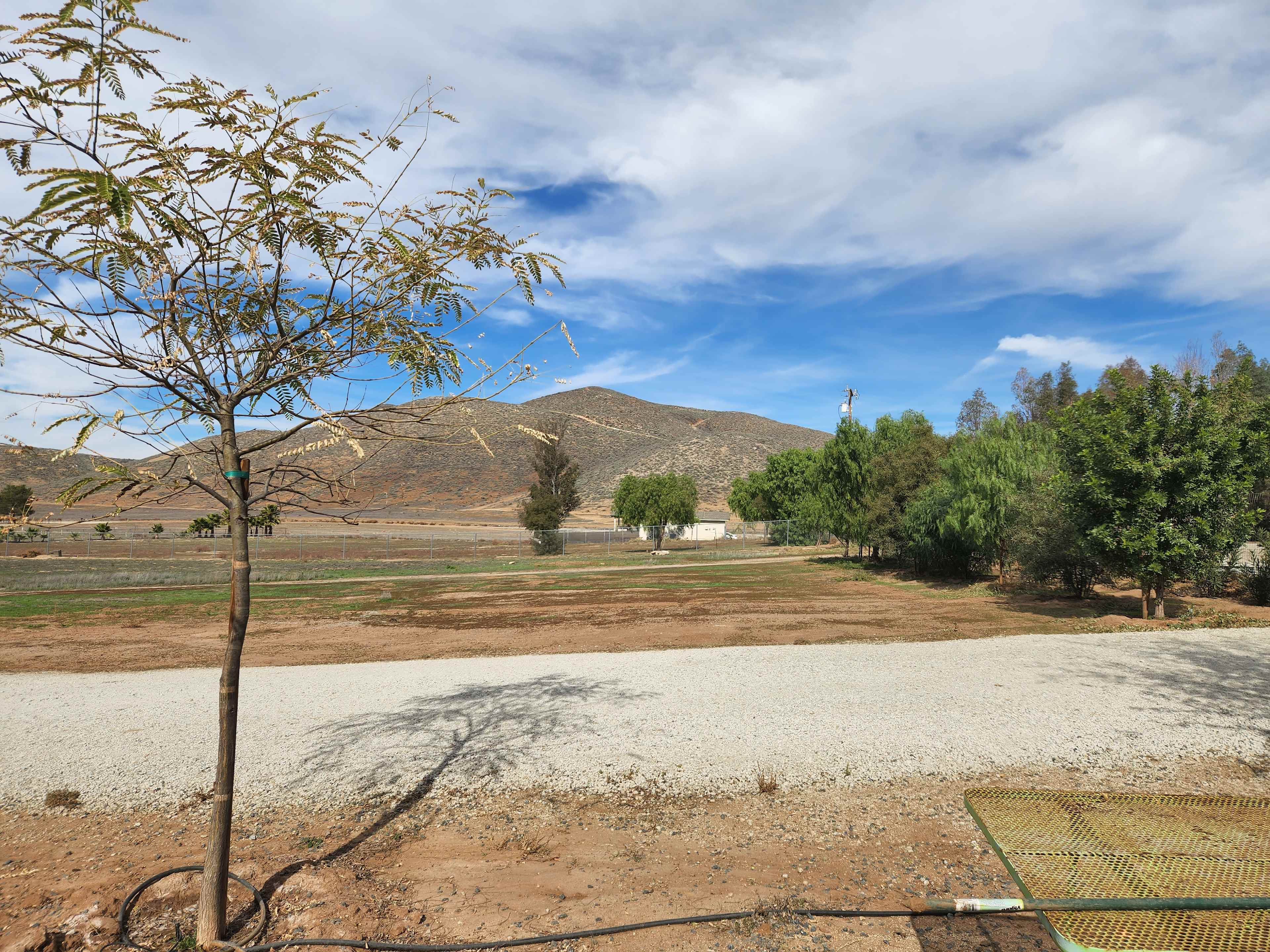 Zahra M.’s Land
