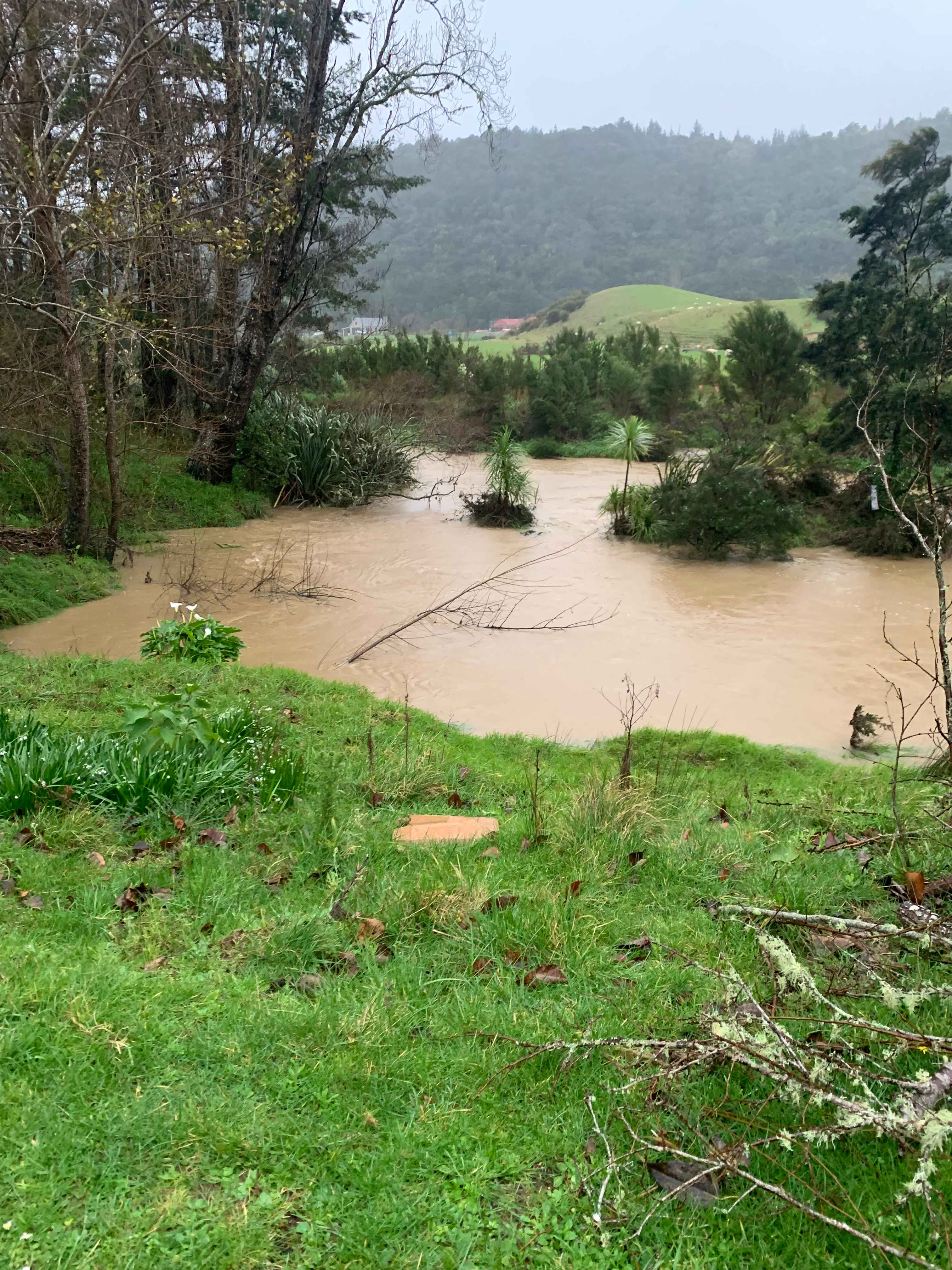 Puhoi cottage tearooms