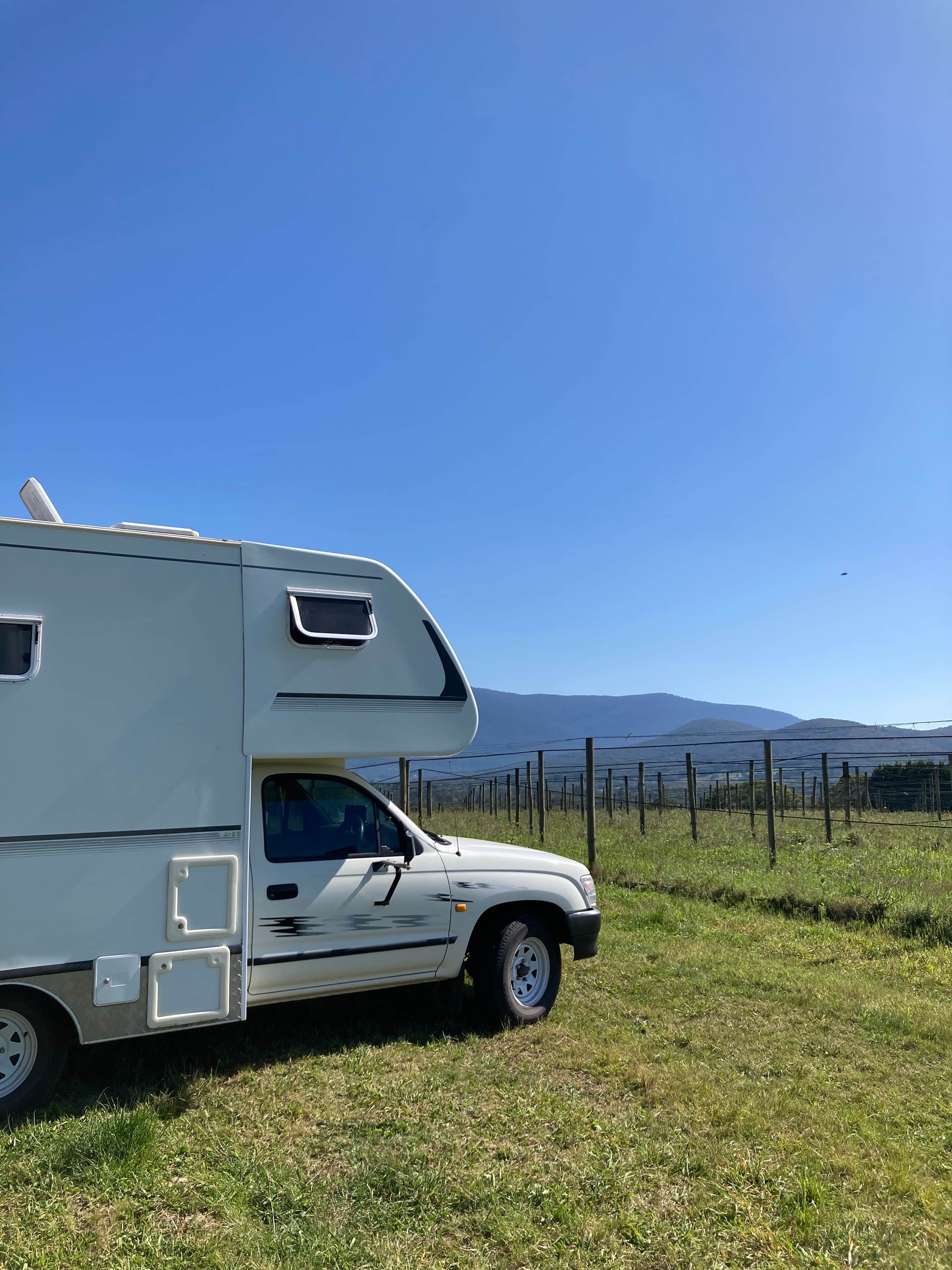 Summerhill Vineyard