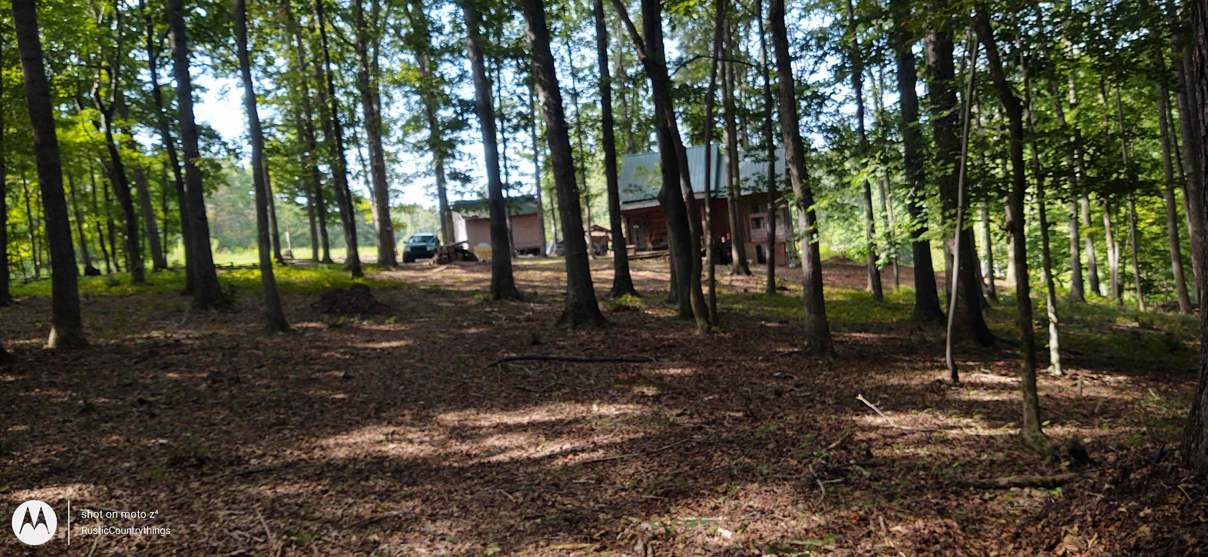 GOD's Country @ Laid Back Acres