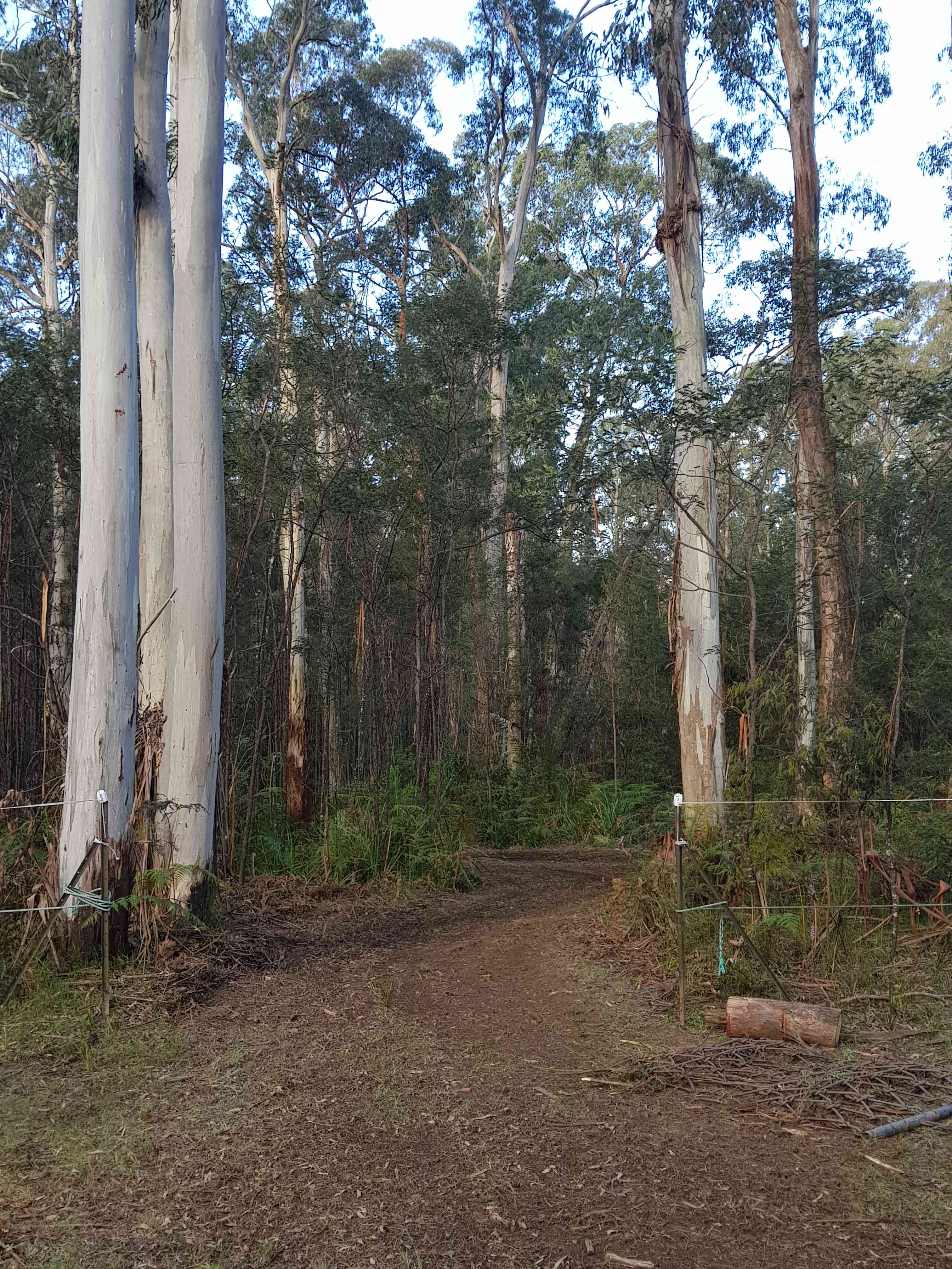 Entrance to River Camp
