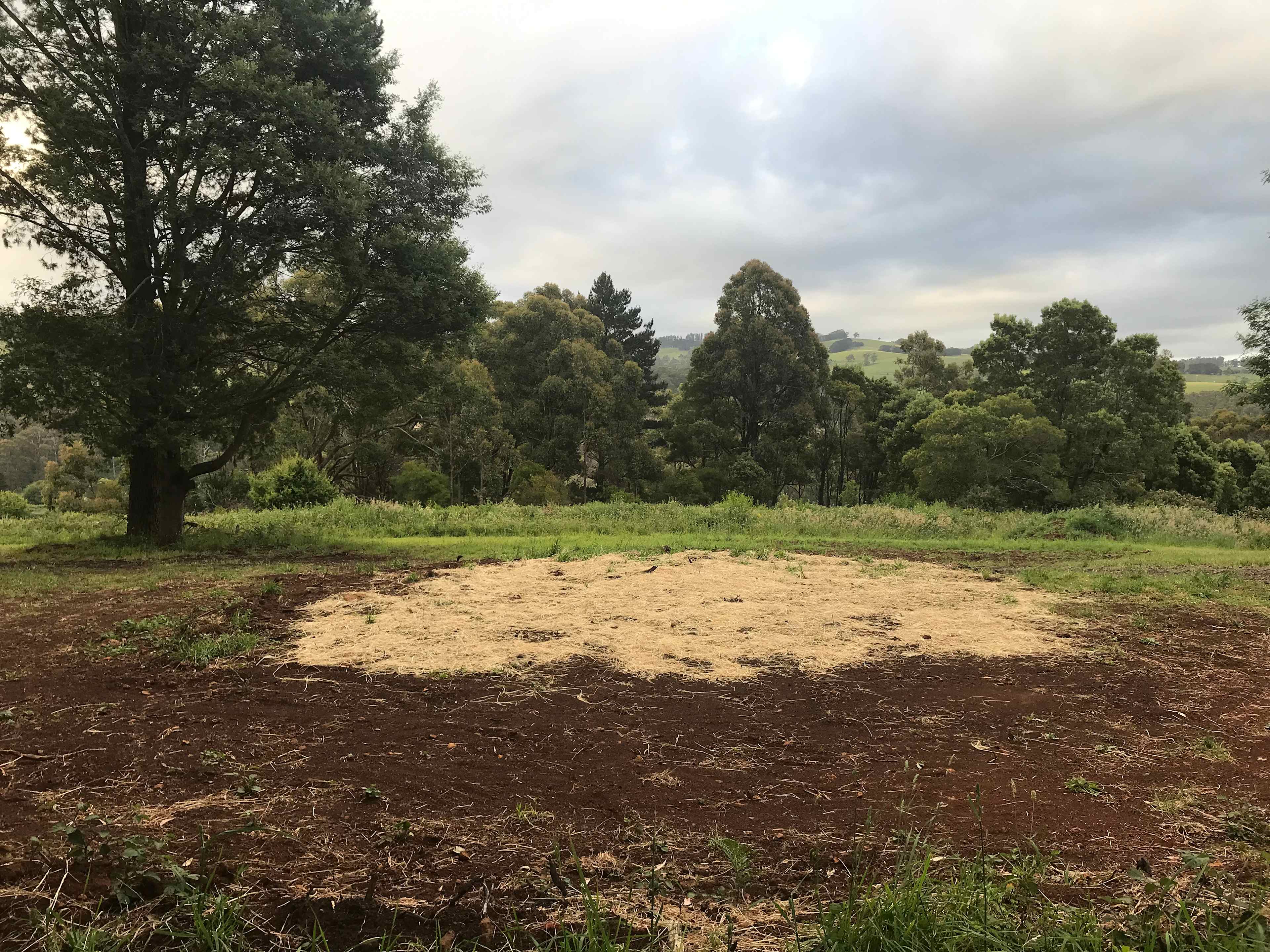 Site 2