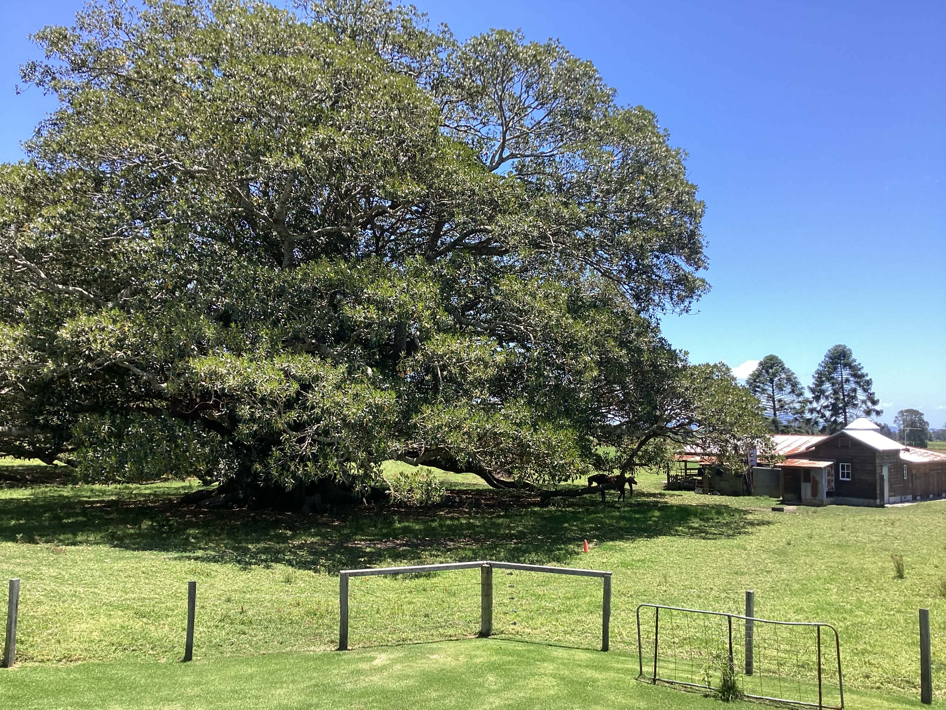Summer Island Farm