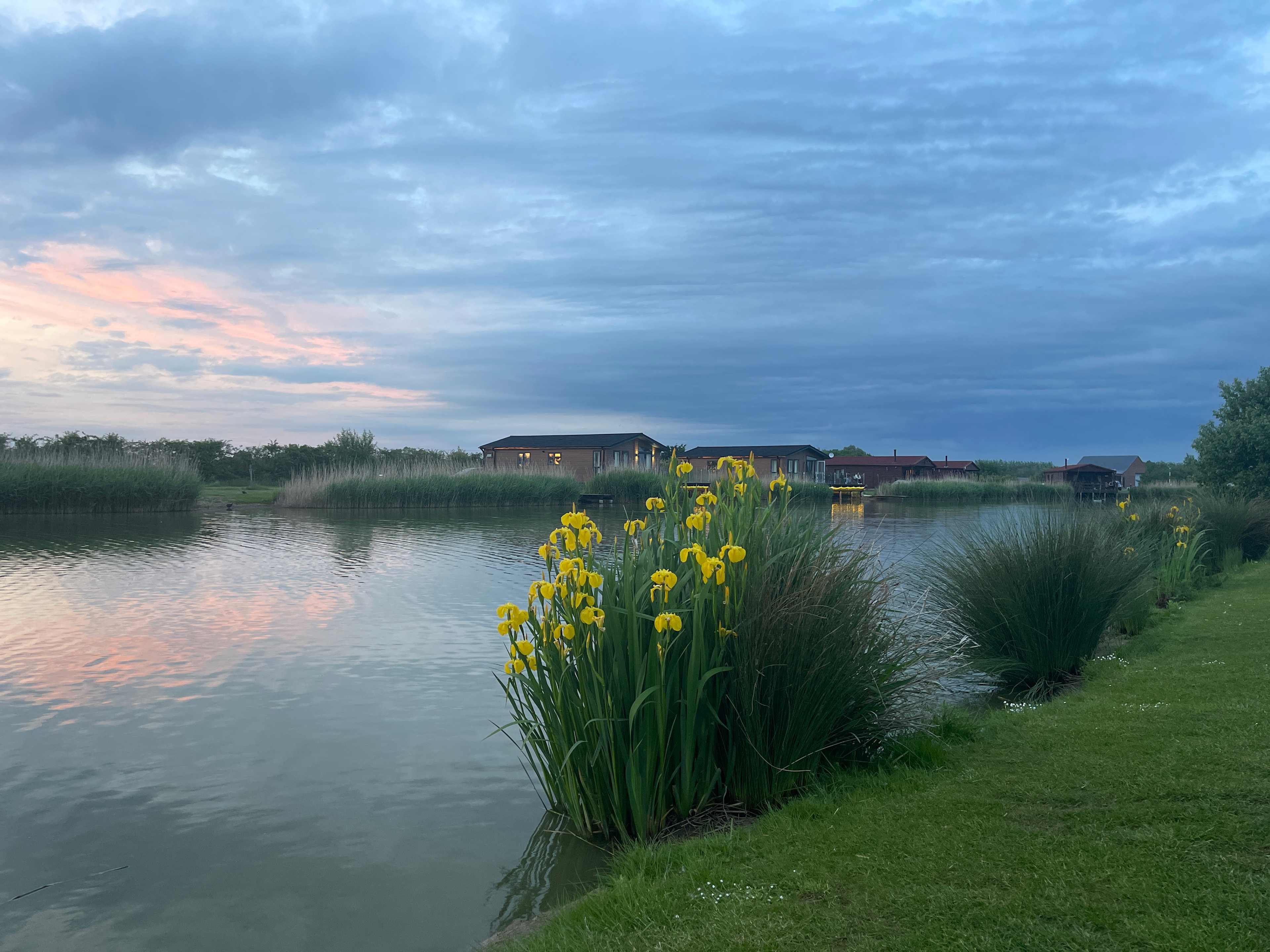 Pretty Flag Fens around the lake