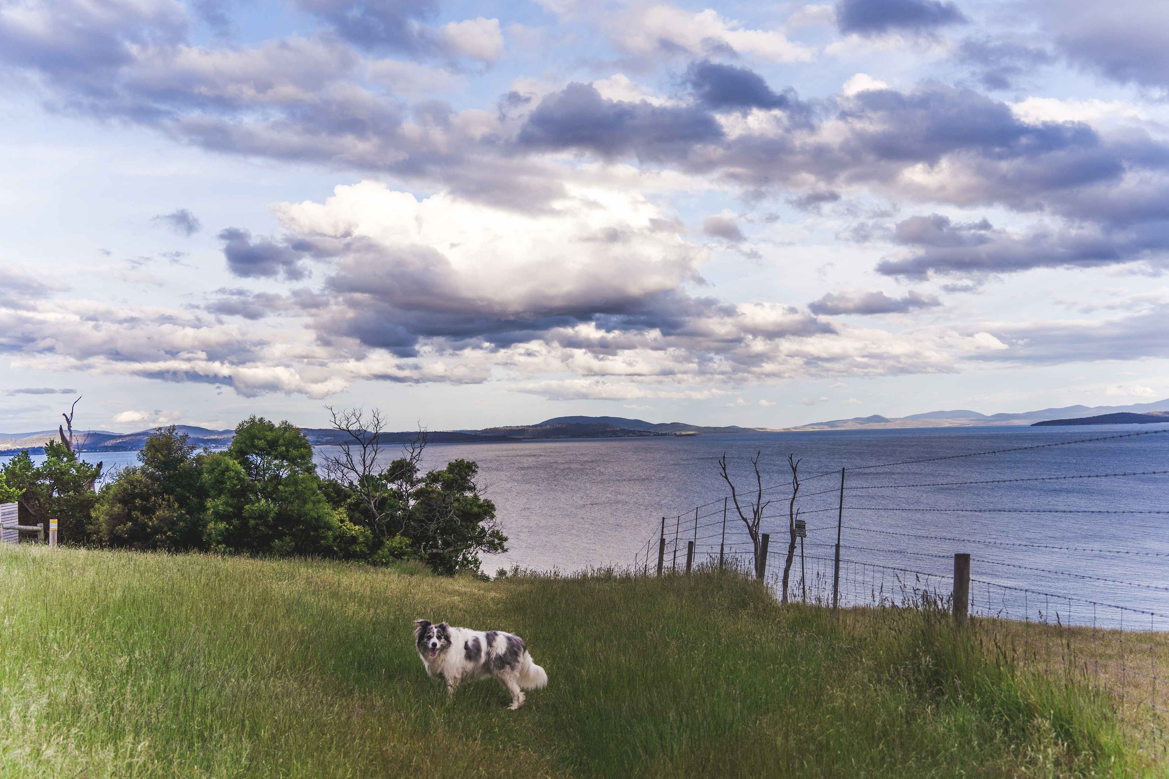 Beautiful ocean view 