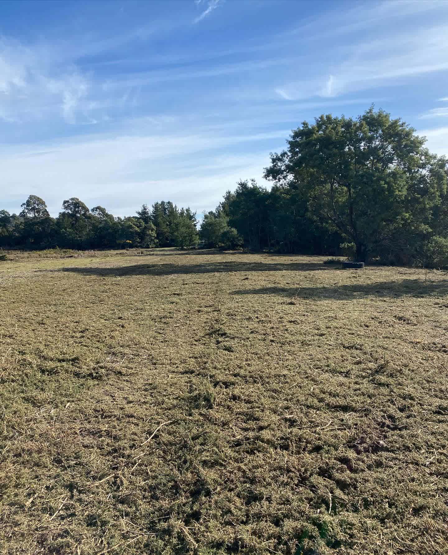 Pockets Farm