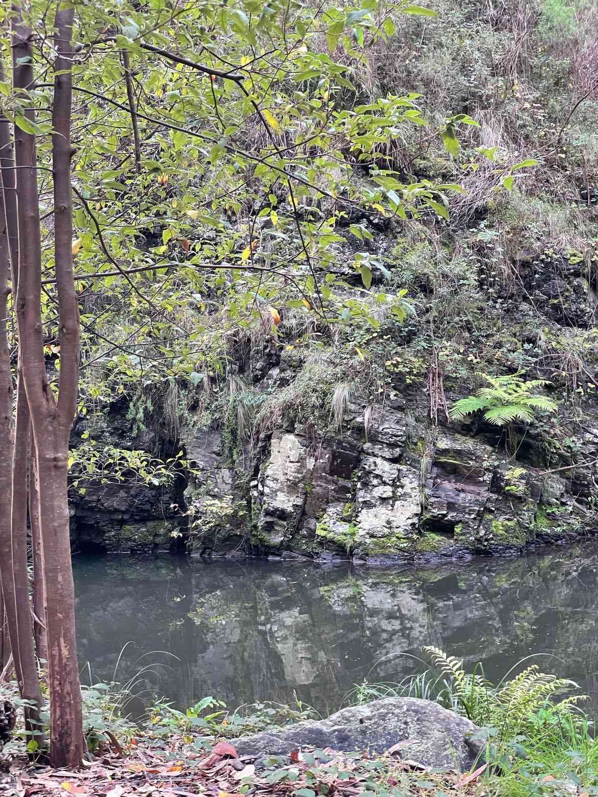 Merrimans Creek Seclusion