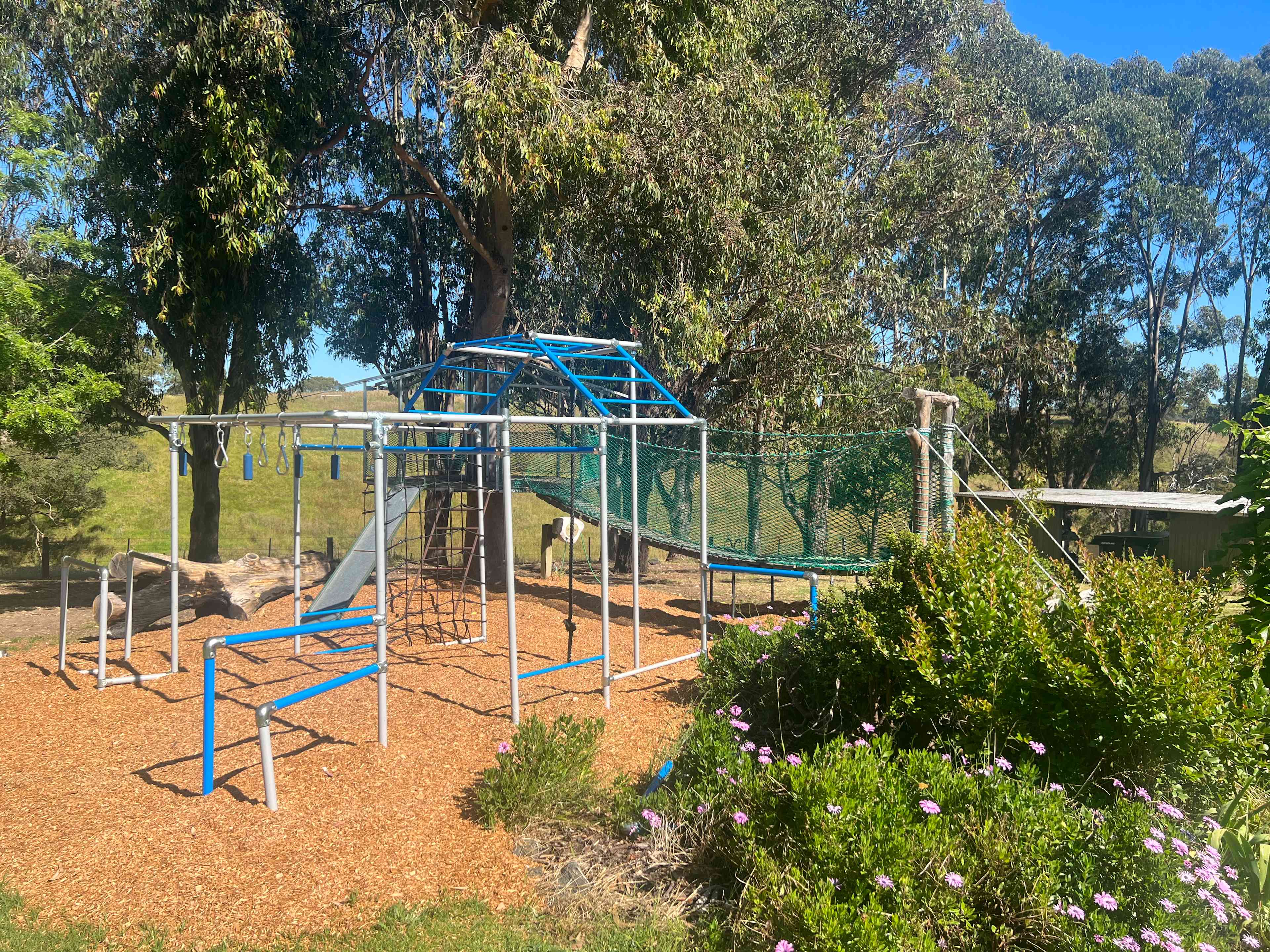 Home among the Gumtrees