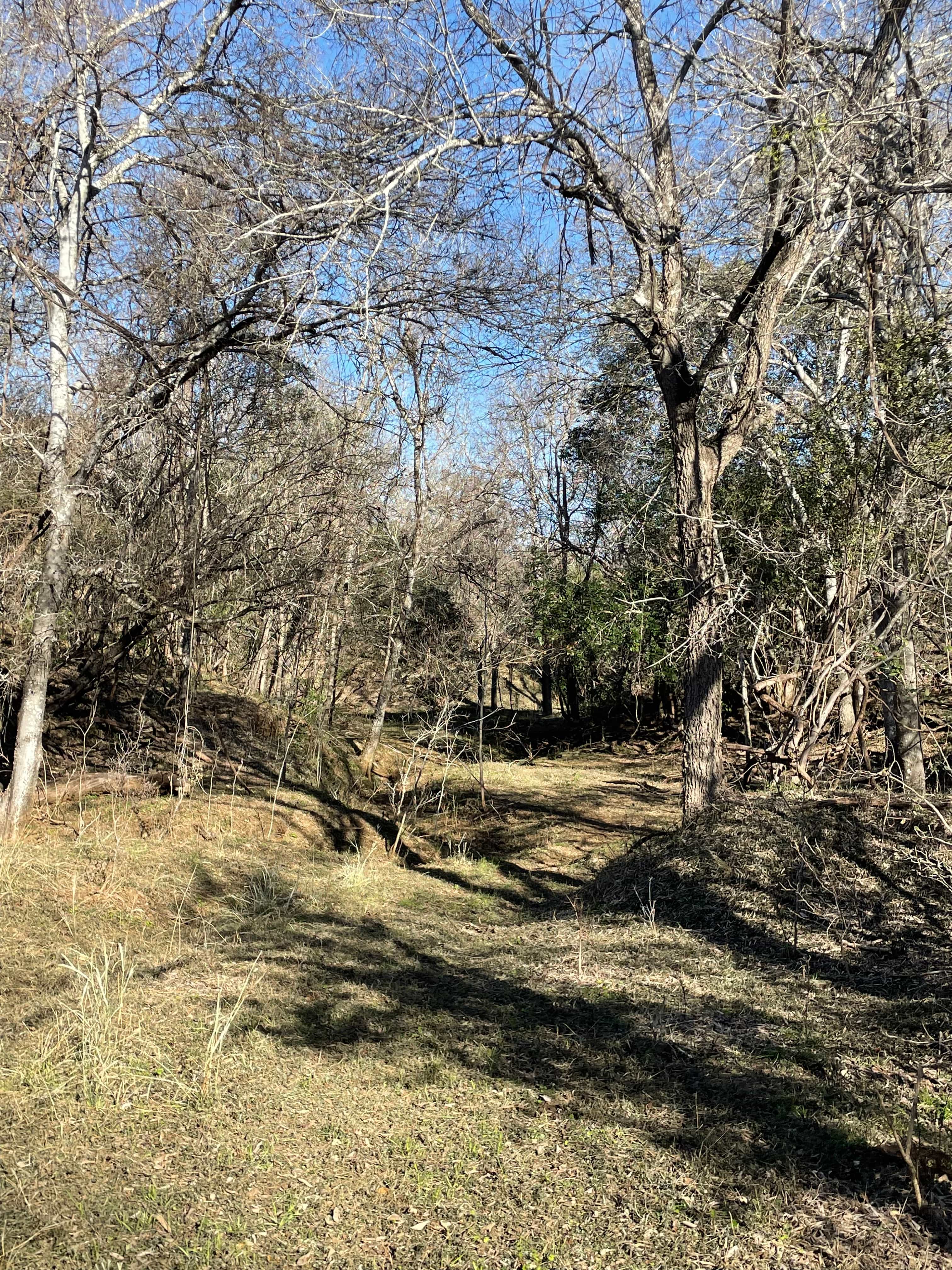 Hiking Trails