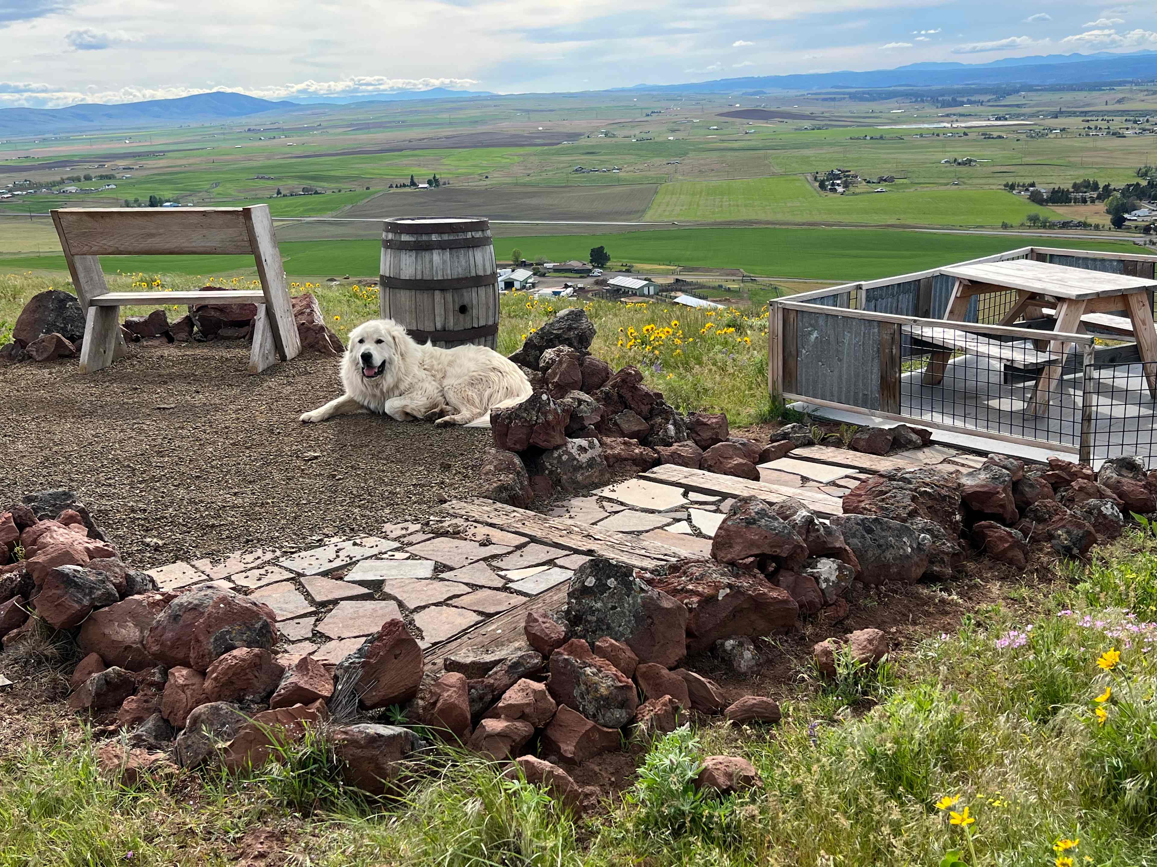 Lefever Holbrook Ranch