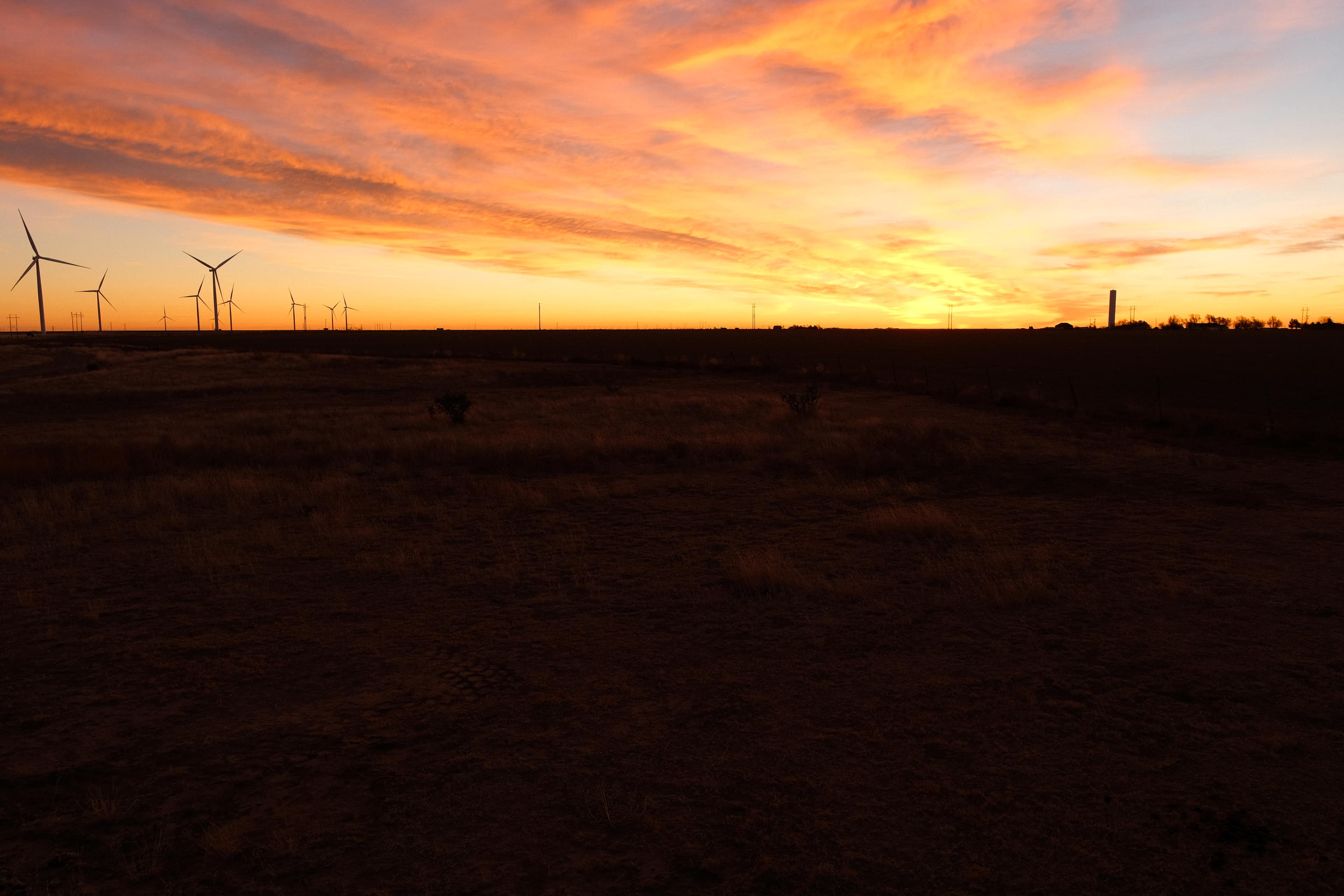 Coyote Breaks Farm