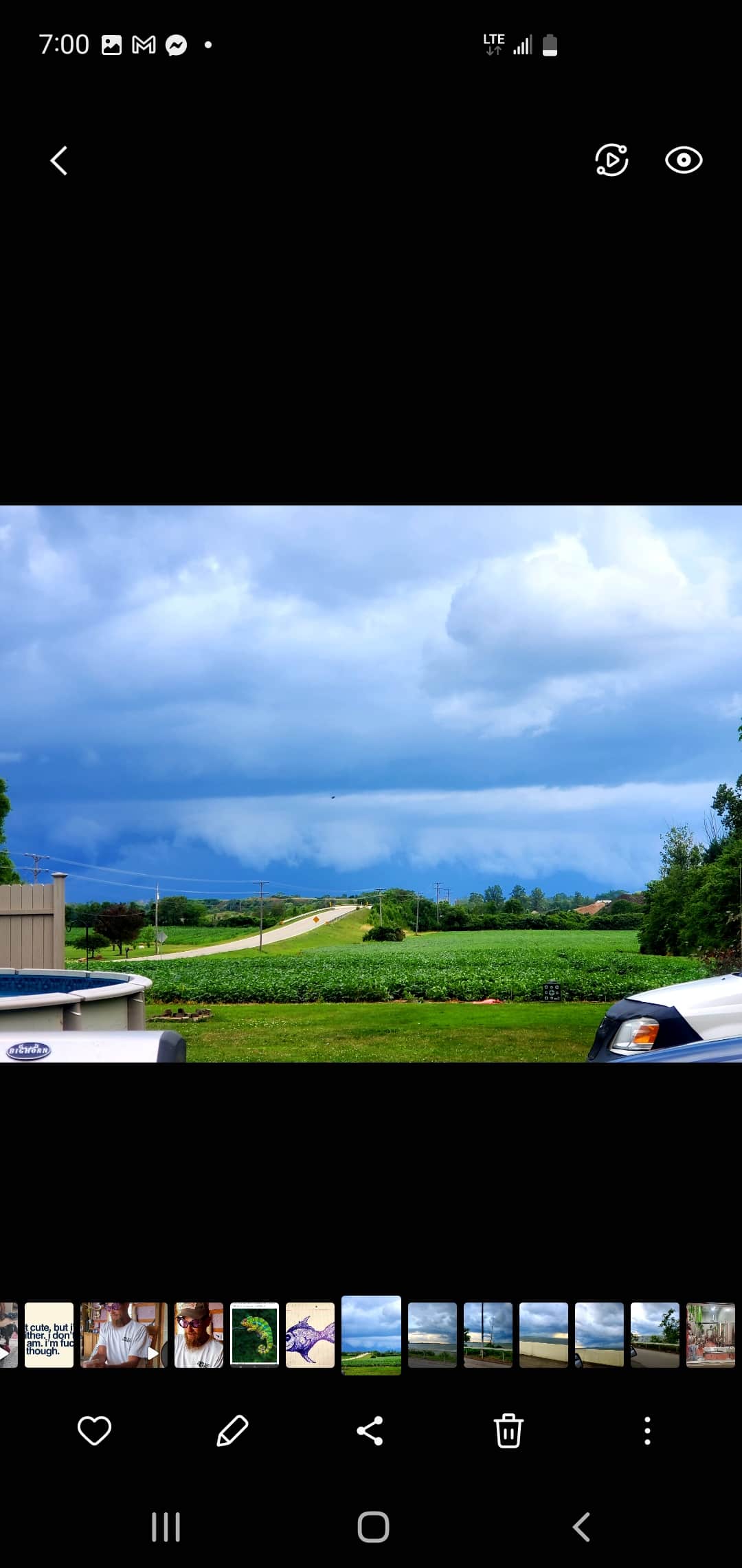 This is the soybean view. It rotates with corn. Both grow up enough to create a natural barrier and privacy in the yard. 