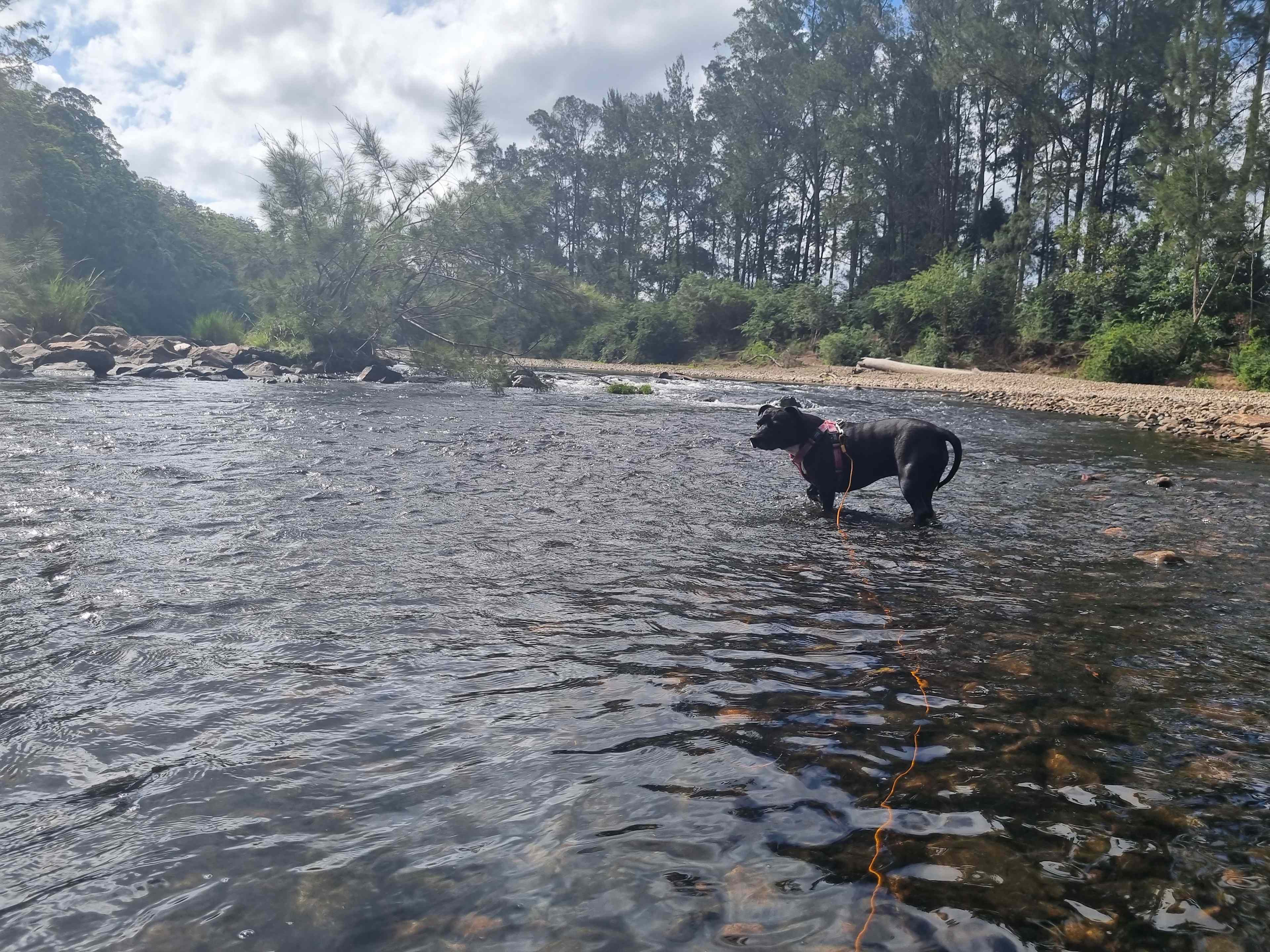 Bundilla River Camp