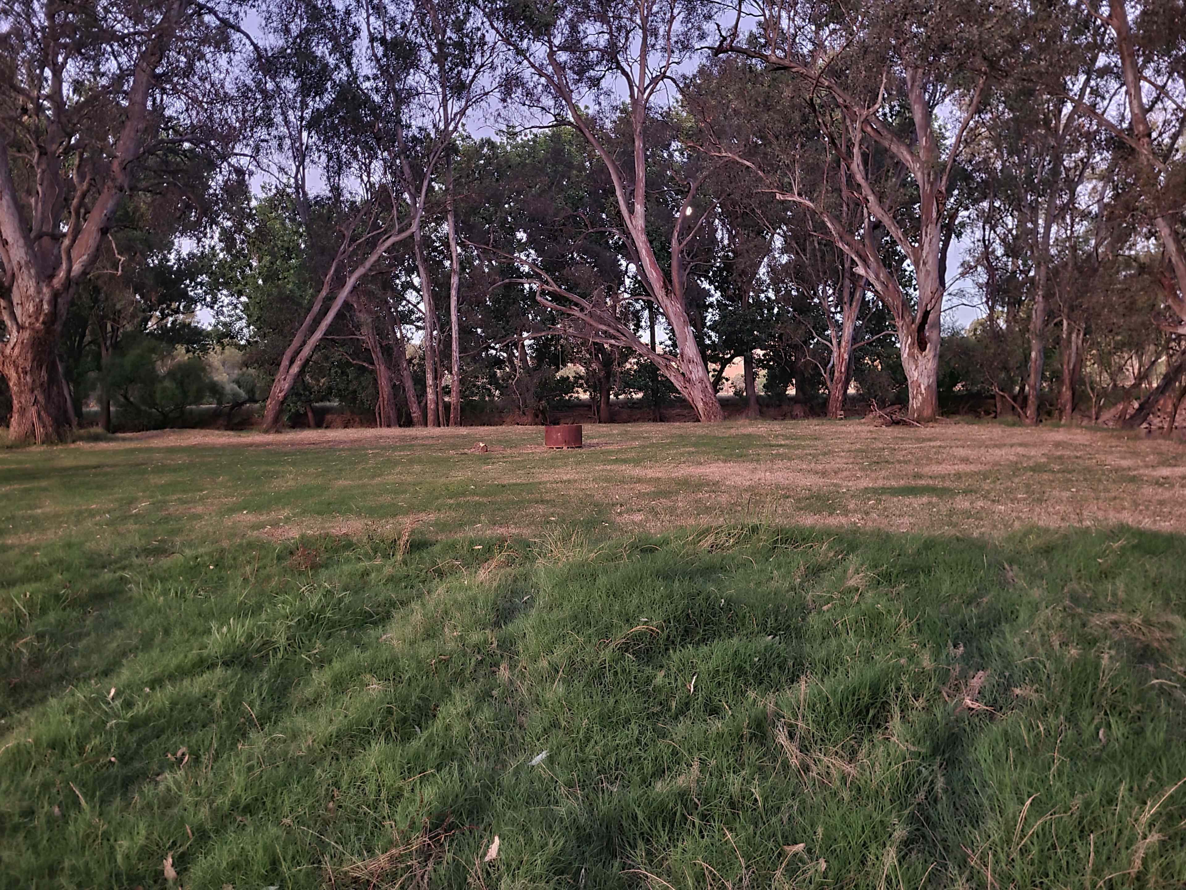 Willowood