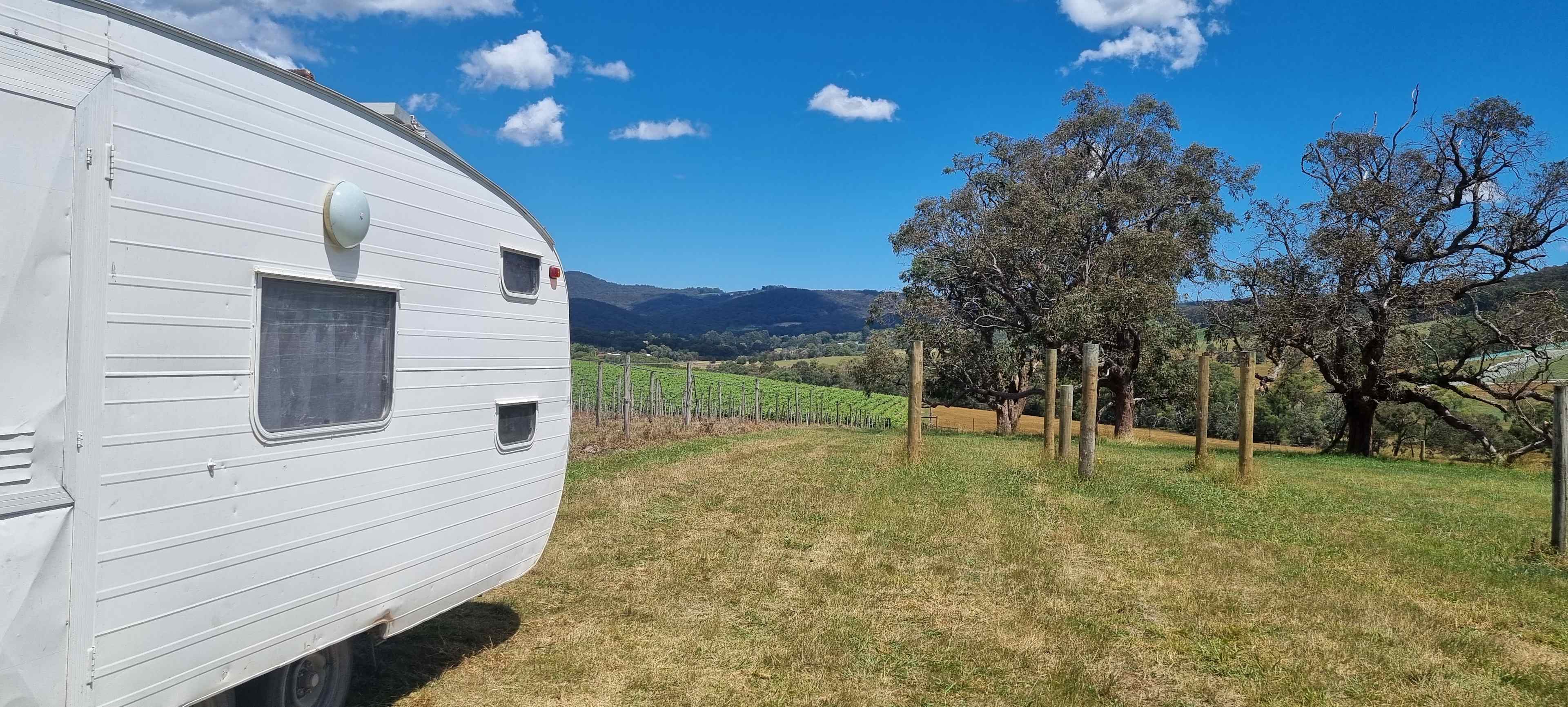 Summerhill Vineyard