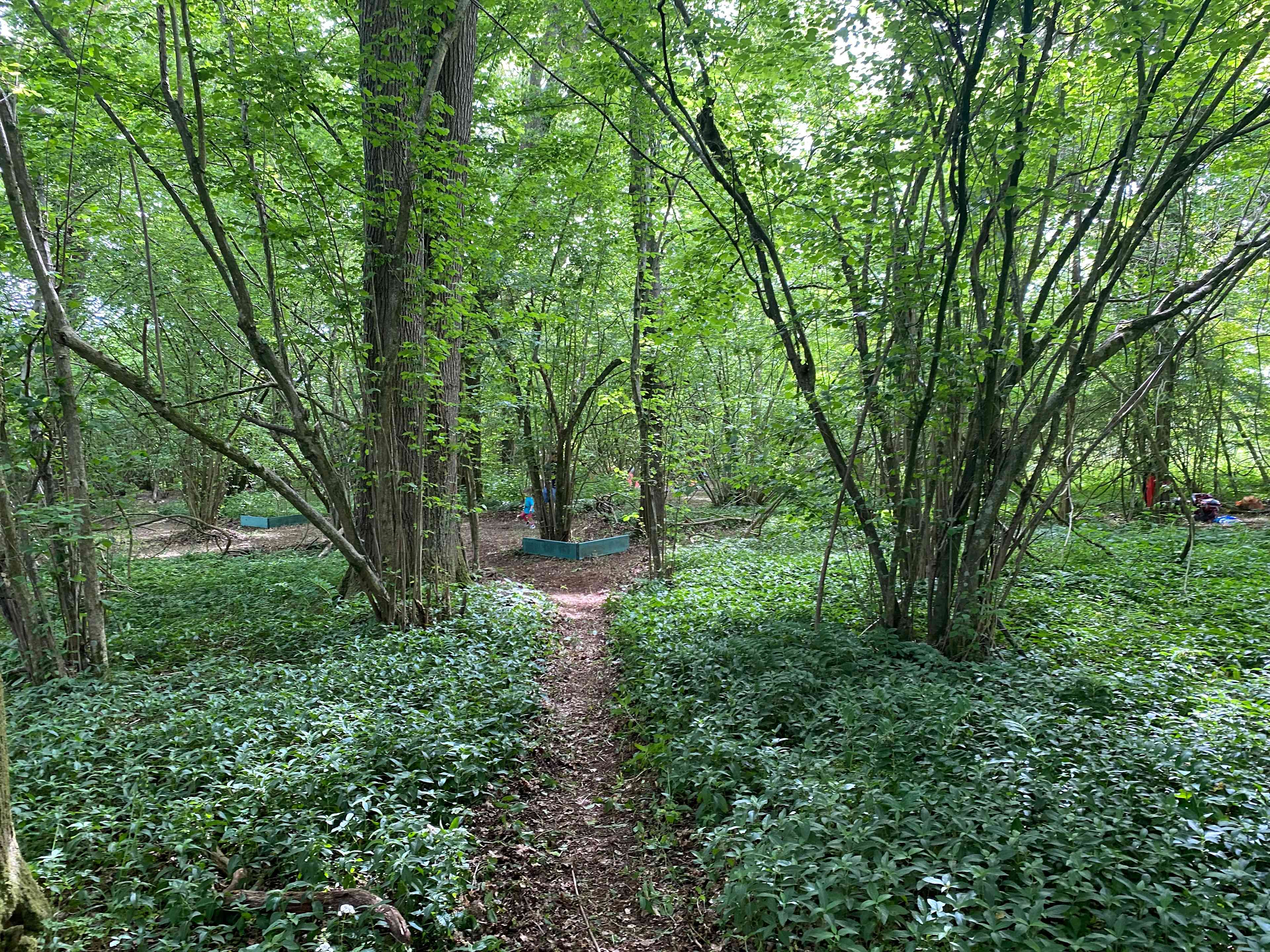 littlewood
