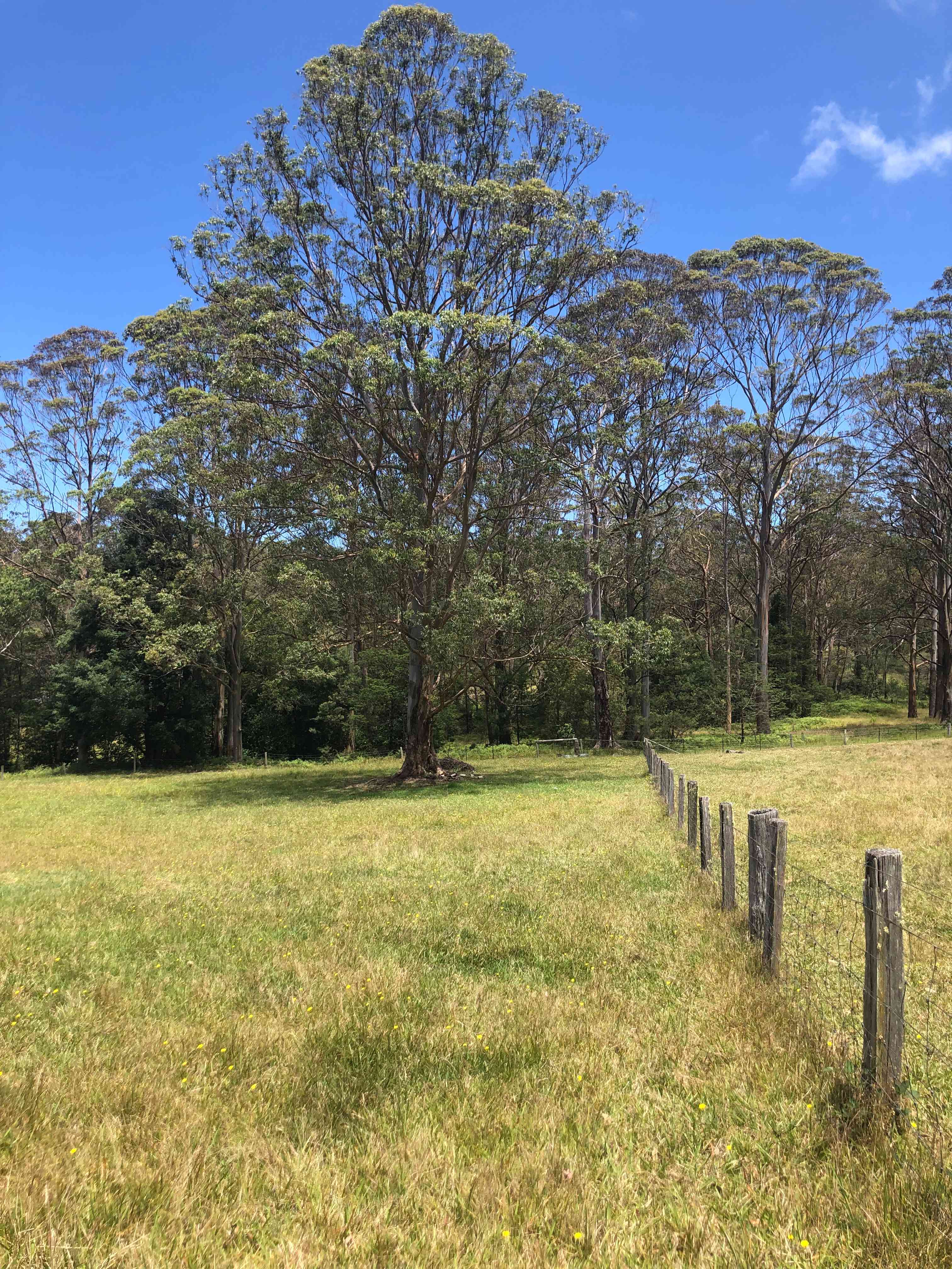 Edendale Farm- 4mins from beach