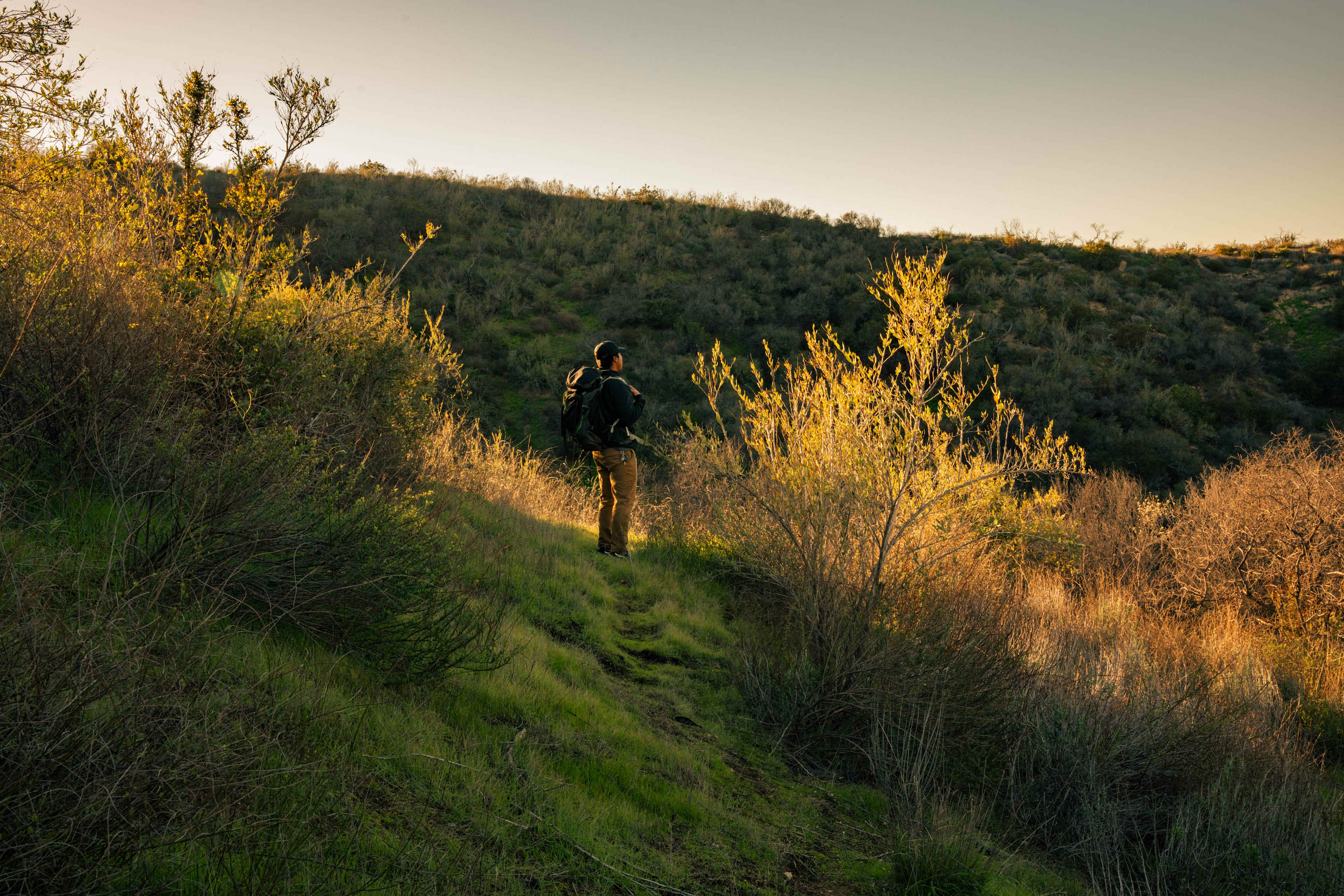 Lots of land to hike !