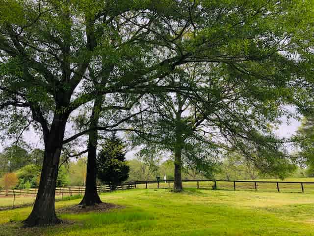 Openroad Farm