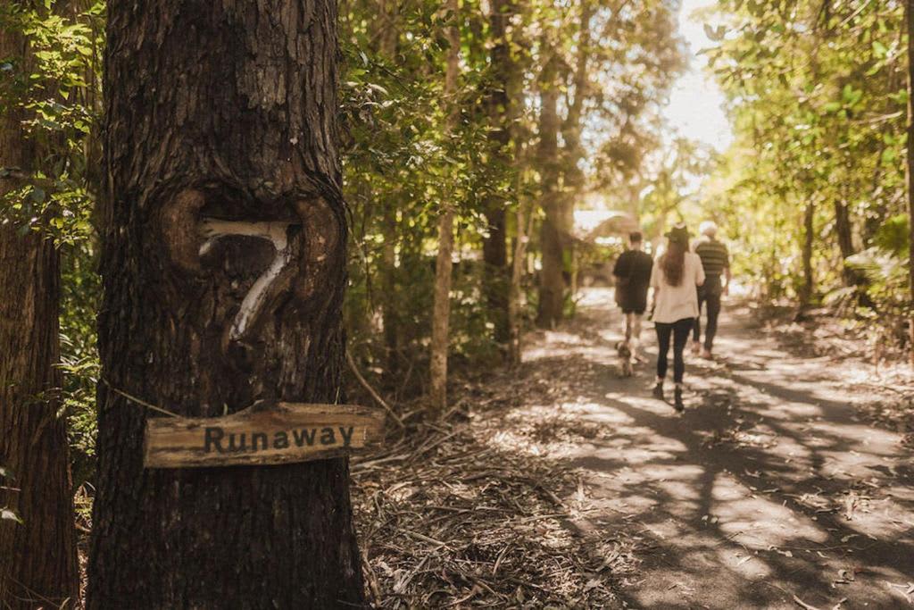 Runaway to Maleny