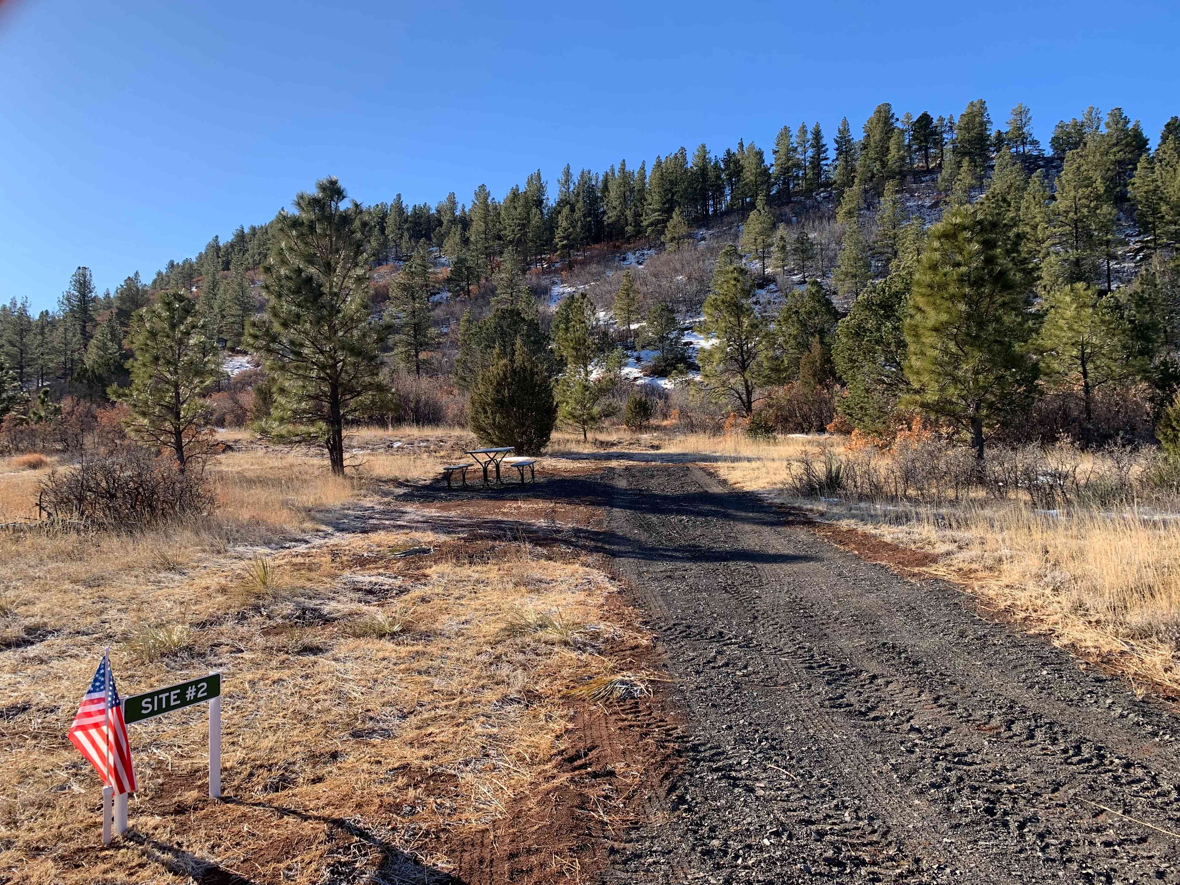 Site #2  -  Looking N to S from Entrance