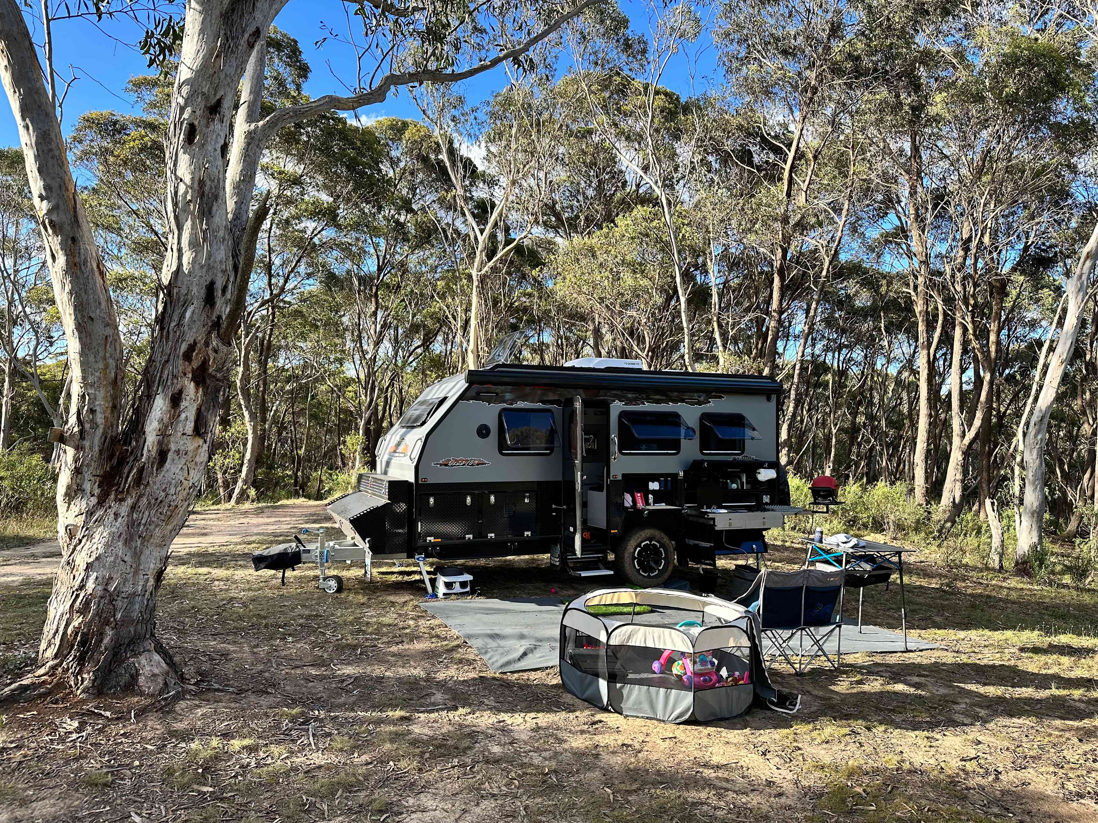 Scribbly Gum secluded bush camping