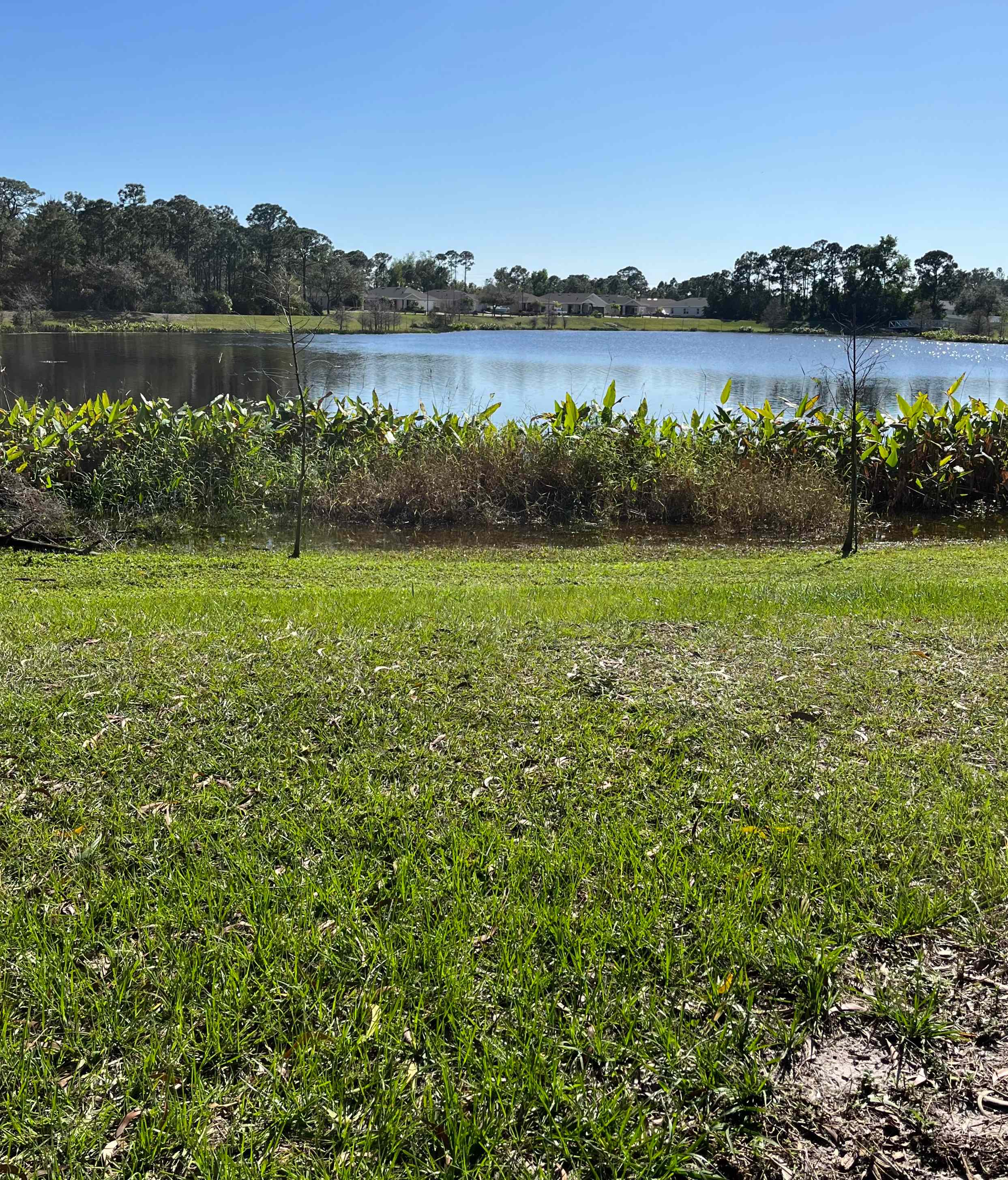 County Lake is just beyond the campsite. Walking bridges and natural pathway allows a beautiful, serene, and partially shaded walk around the Lake. Catch and Release Fishing is permitted here. 
