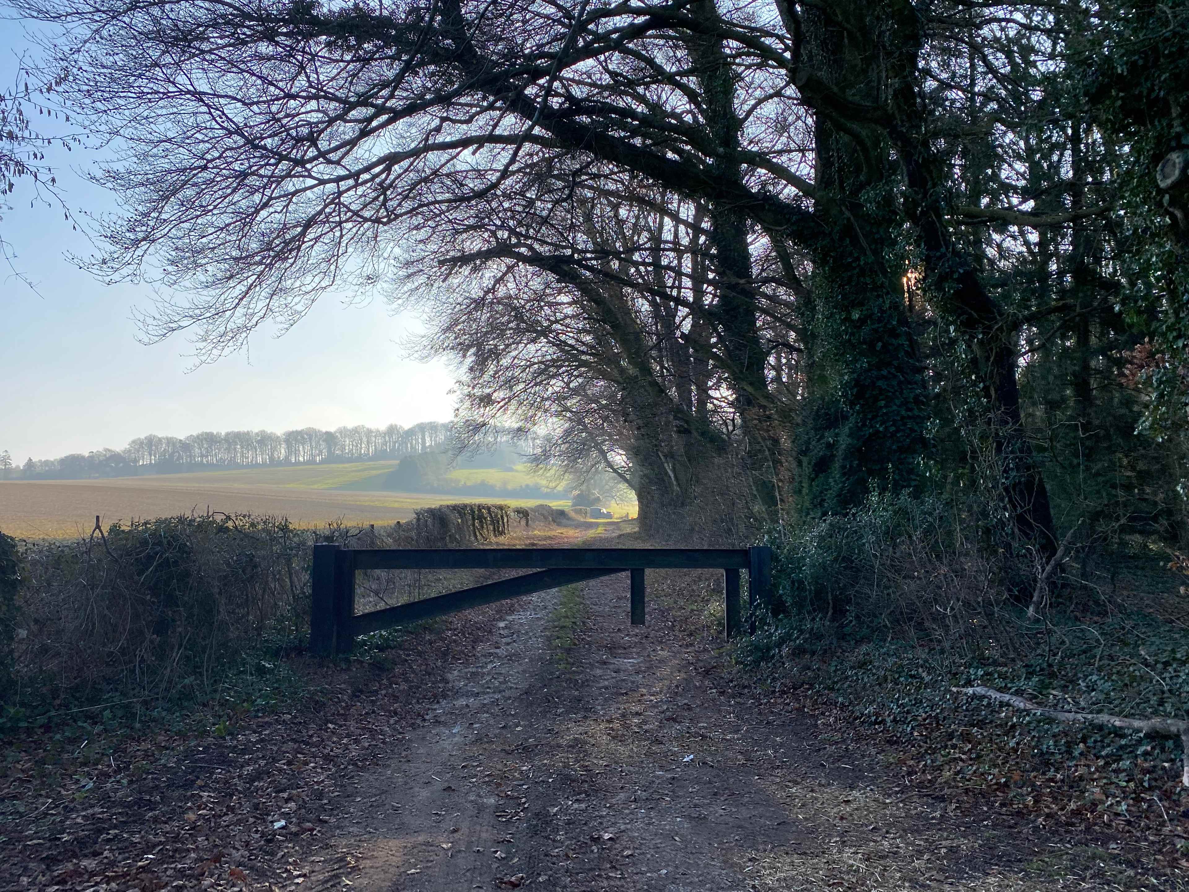 South Allenford Farm