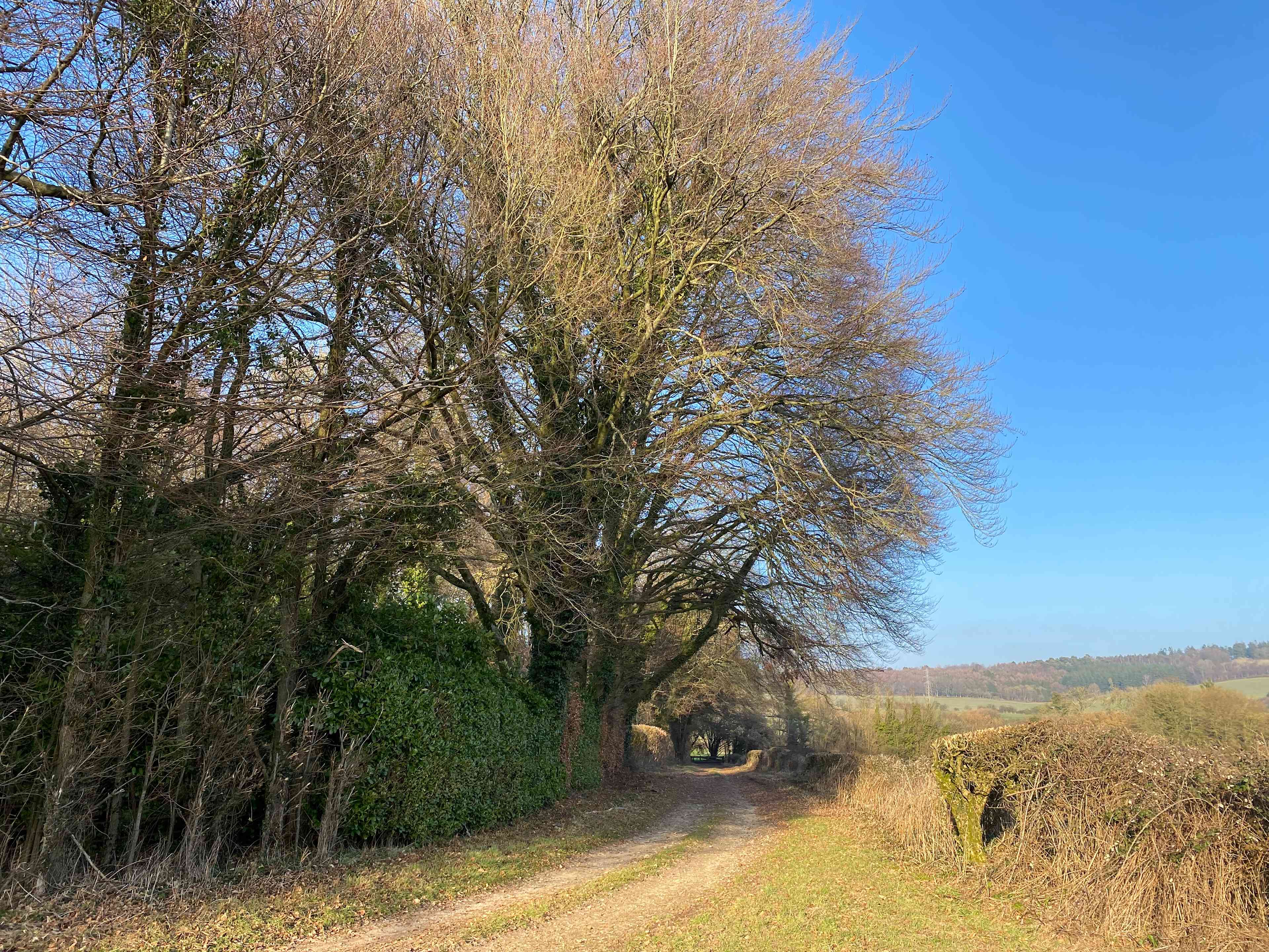 South Allenford Farm