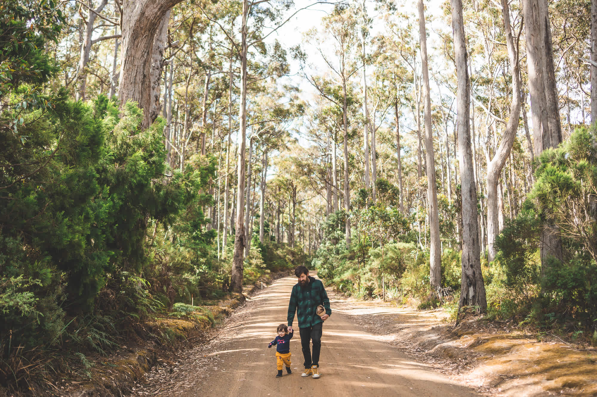 Sheepwash Rd Camp, South Bruny