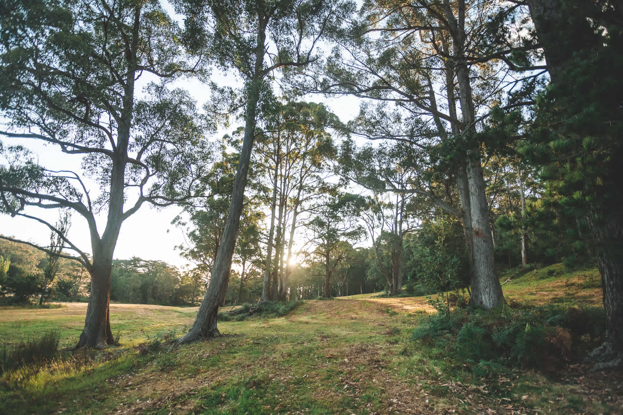 Sheepwash Rd Camp, South Bruny