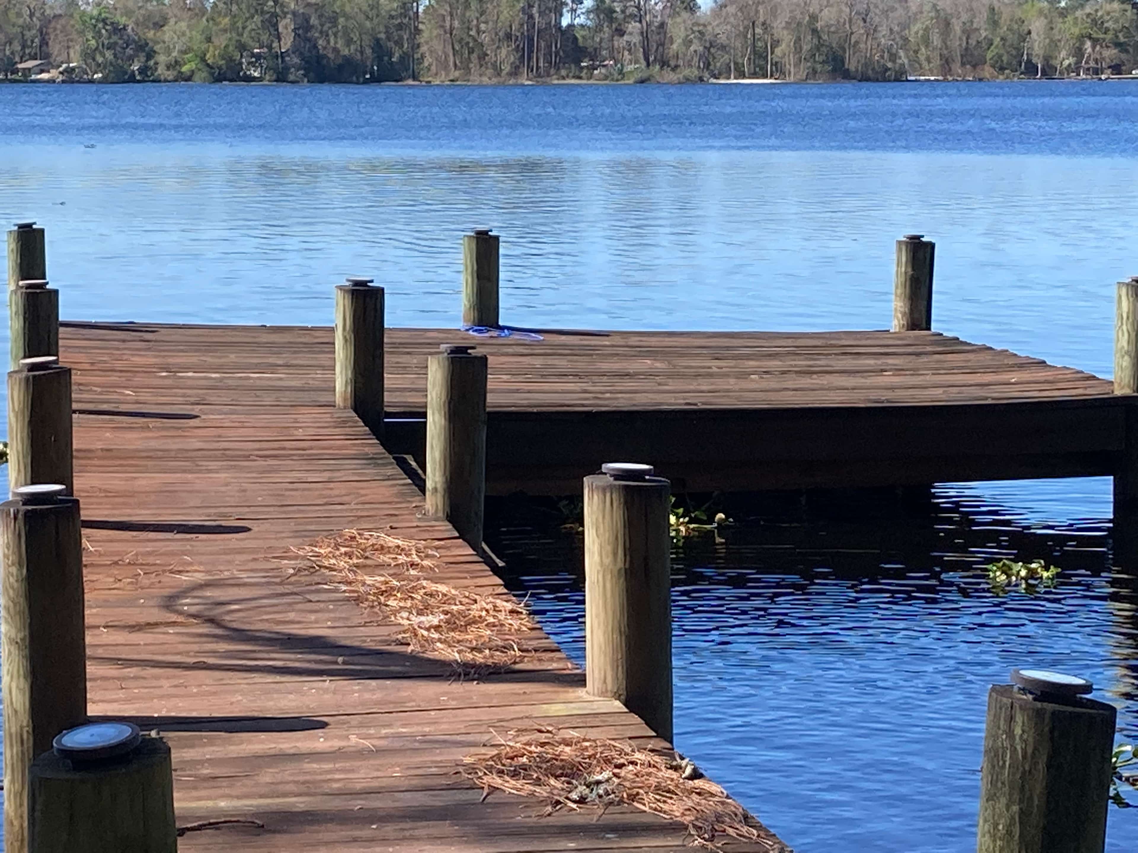 Lakeside Retreat @ Lake Ida