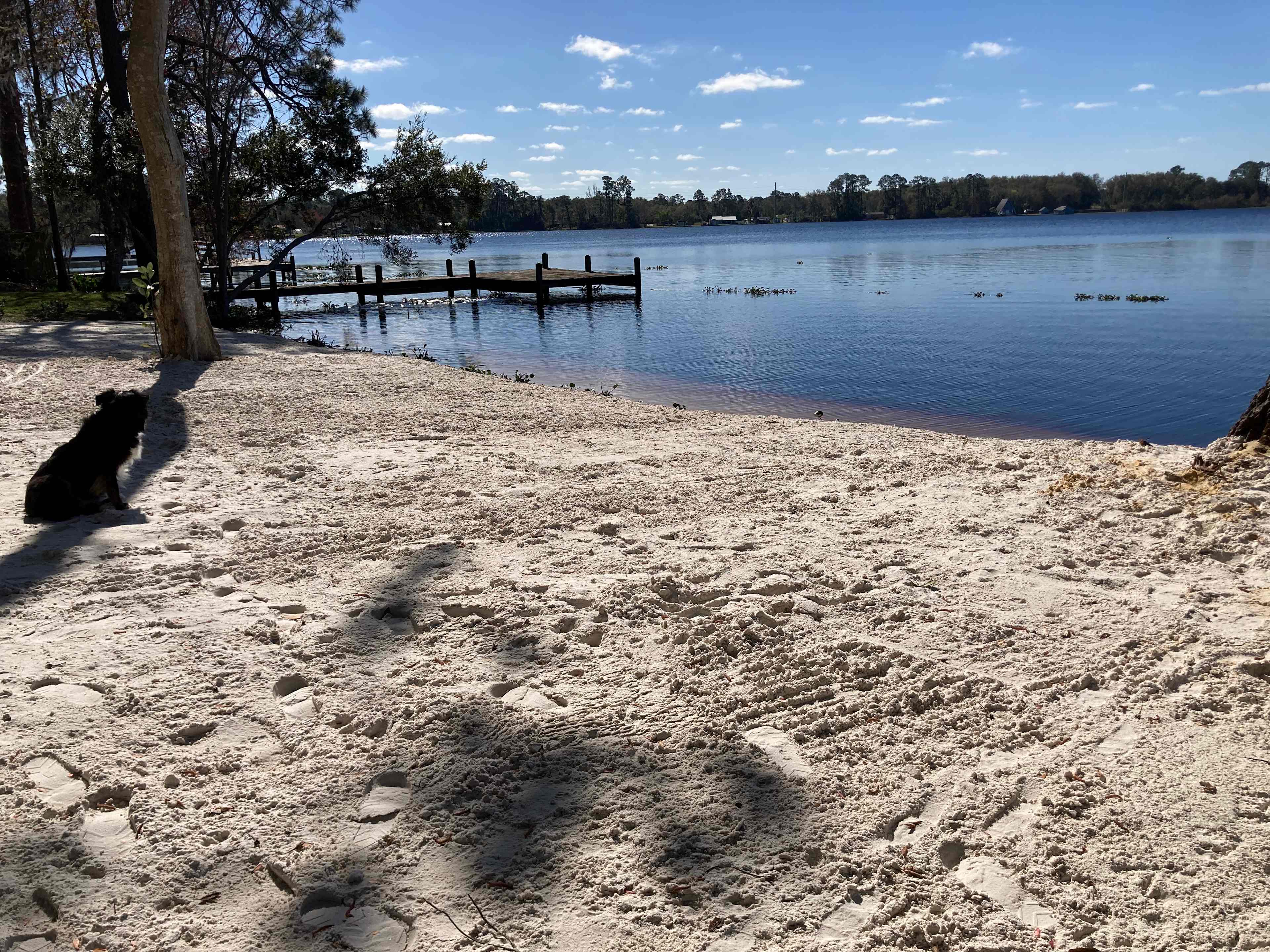 Lakeside Retreat @ Lake Ida