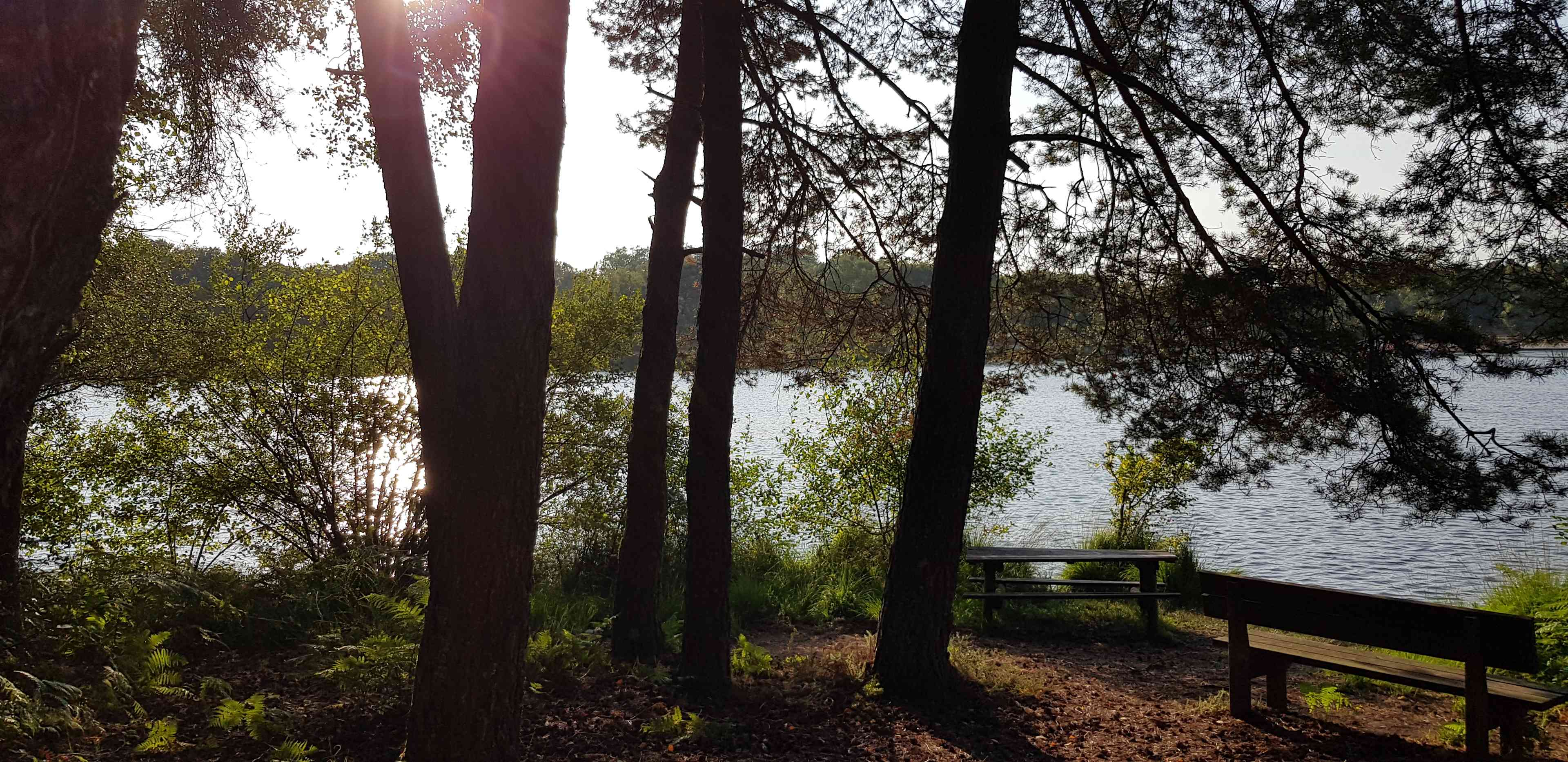 Little Forest of Muratet
