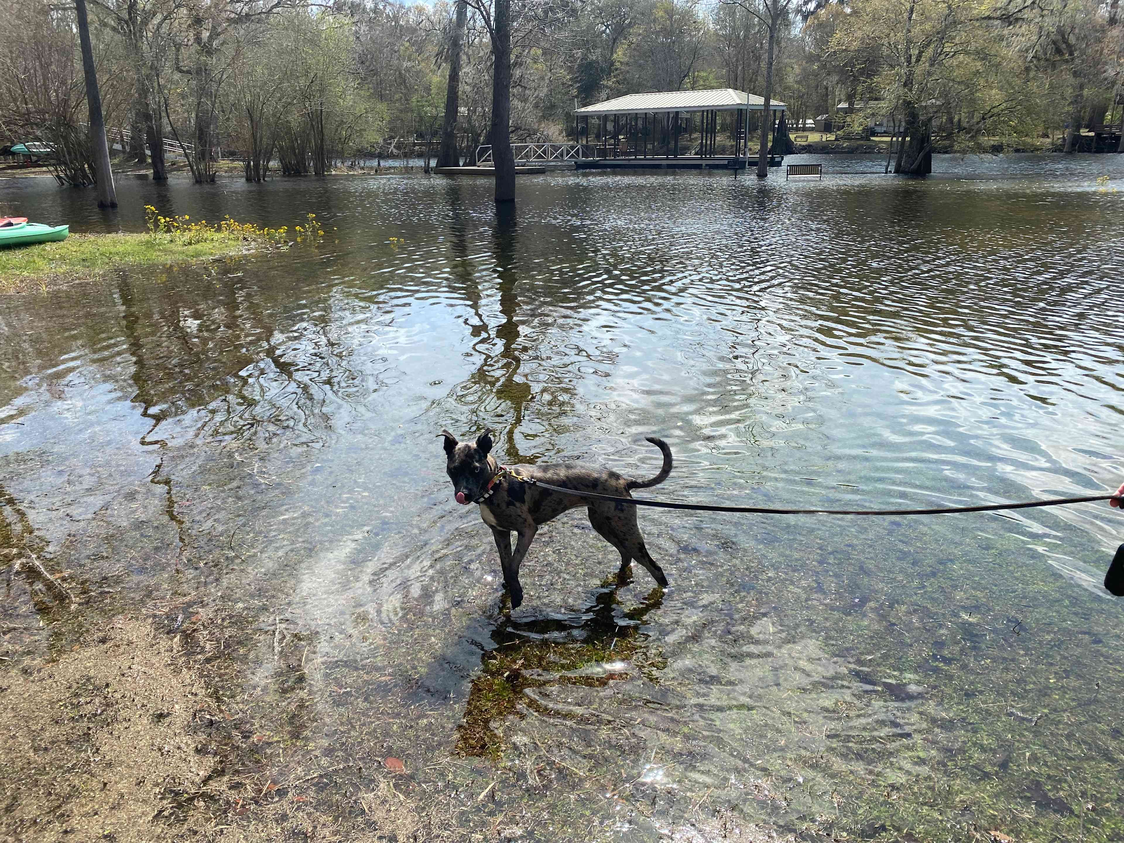 Riverfront Santa Fe/Ichetucknee