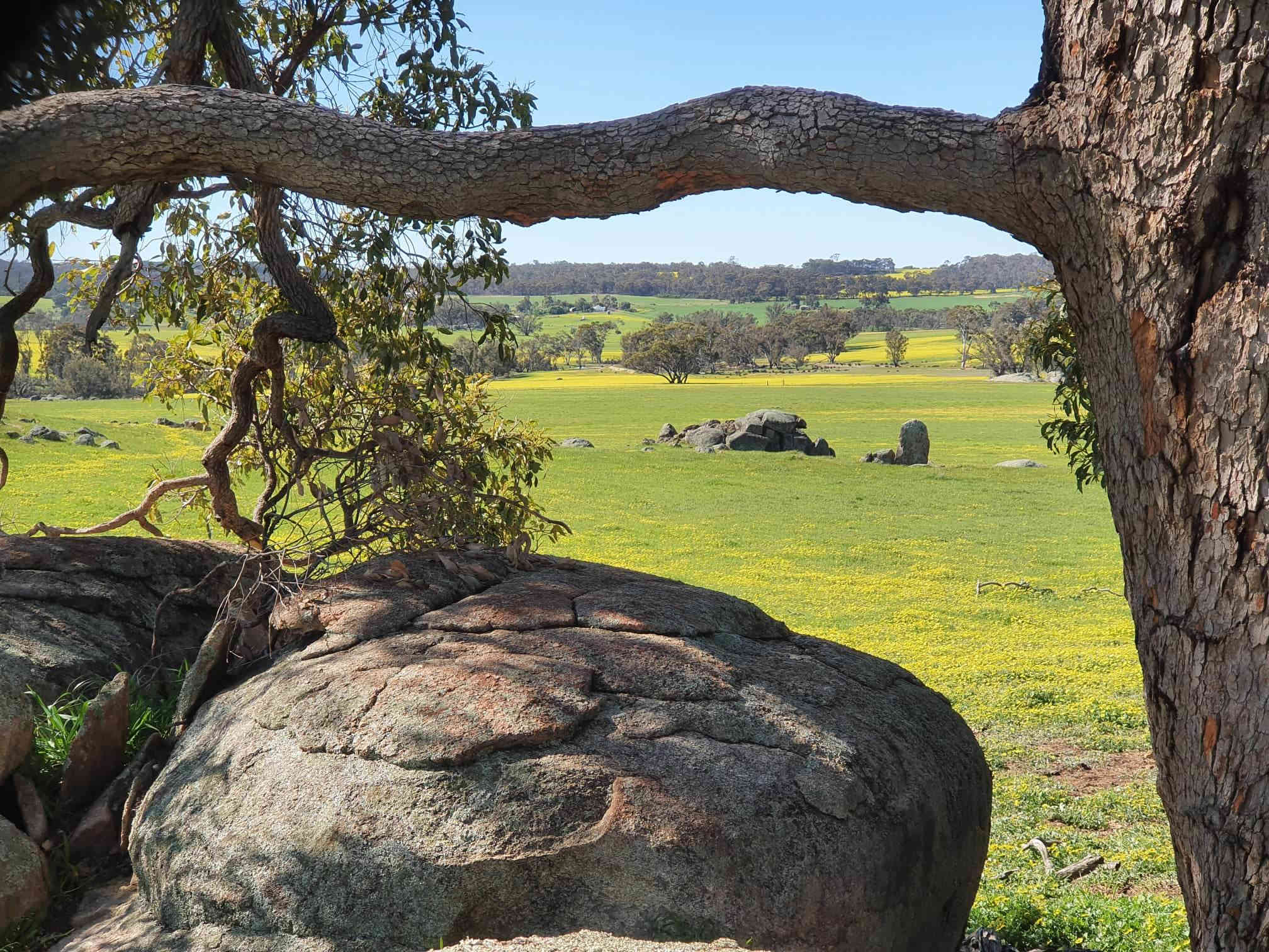 Peaceful Valley Farm