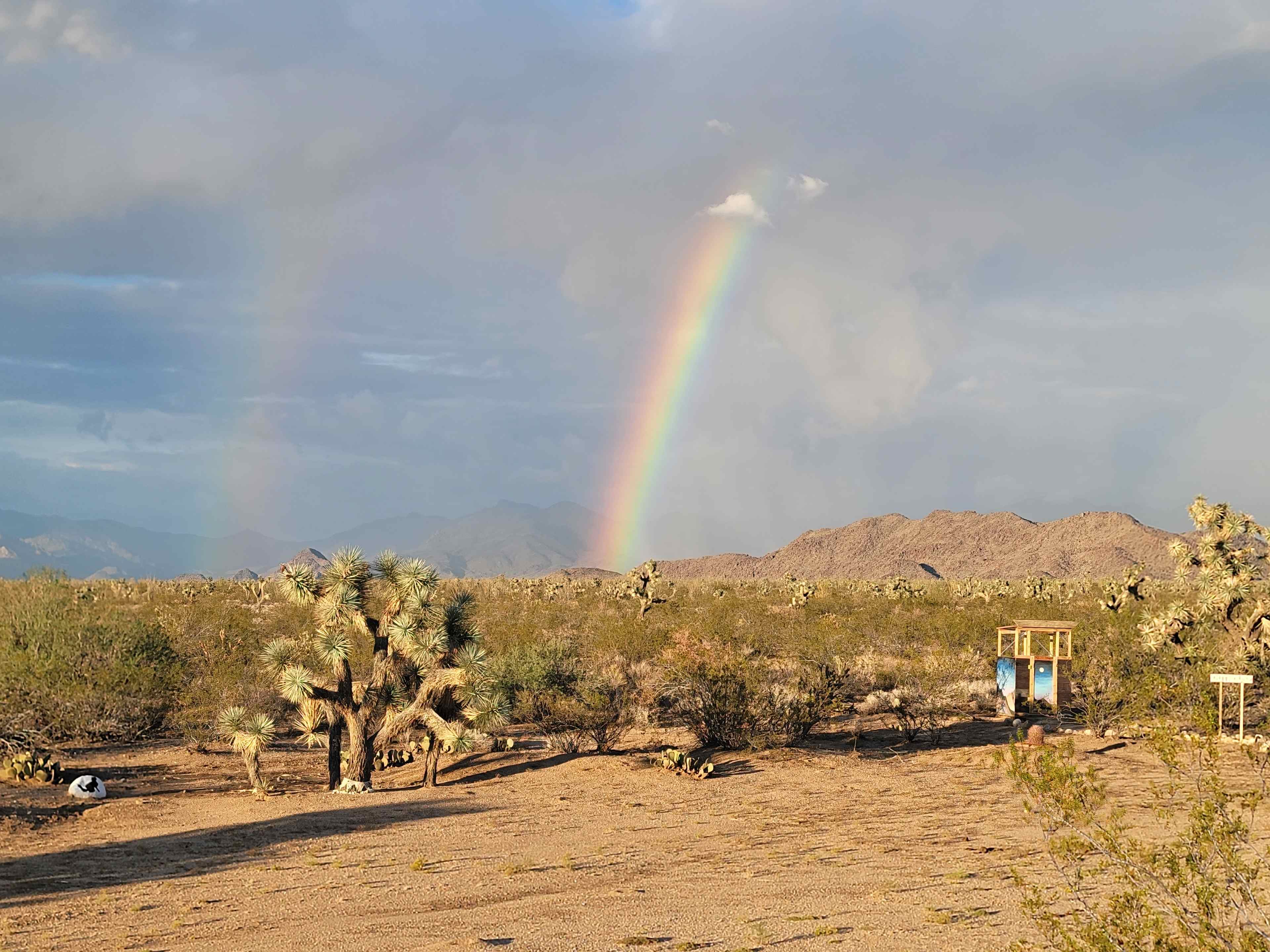 Magic in the Mohave
