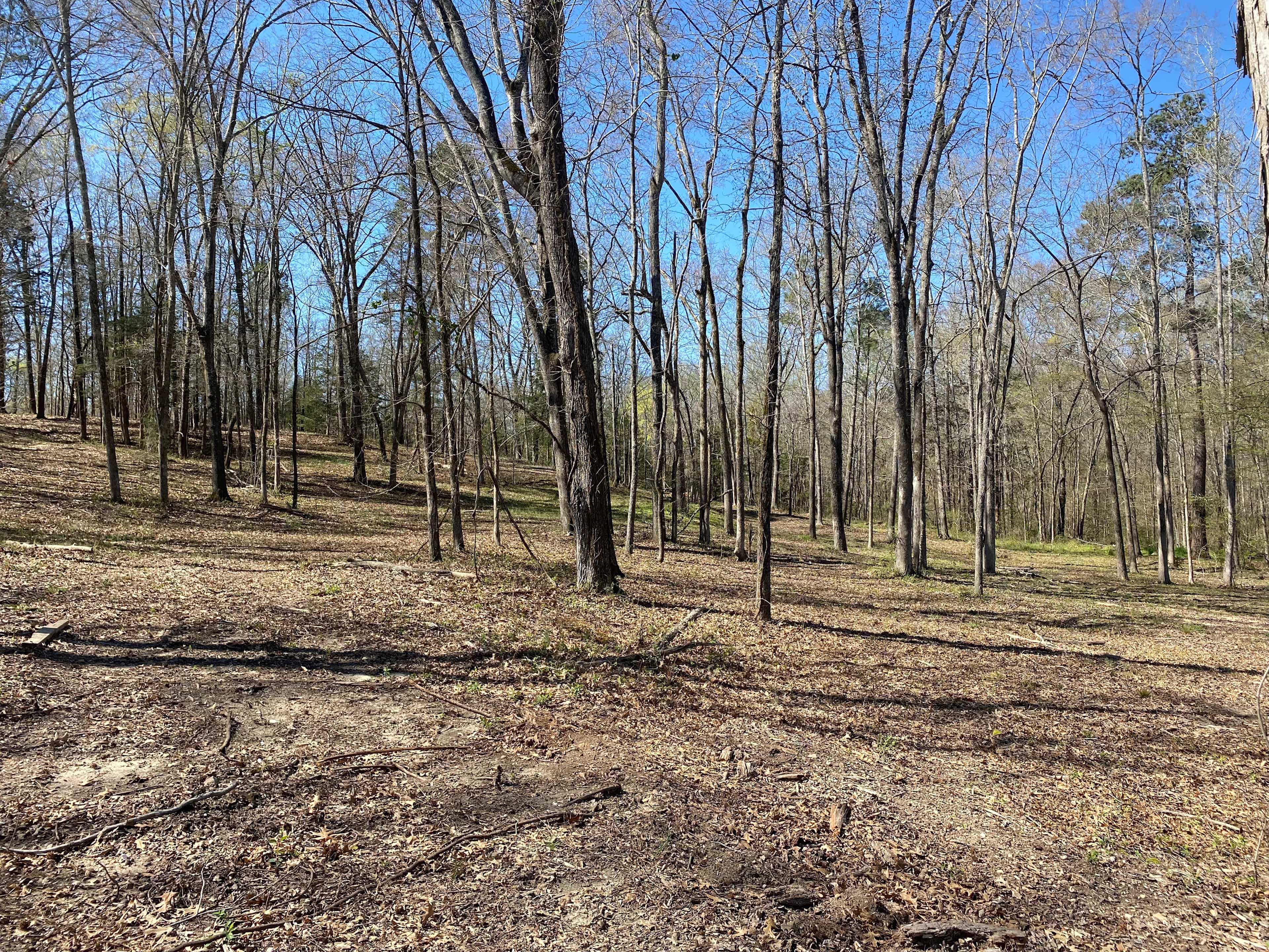 Reedy Tent Retreat