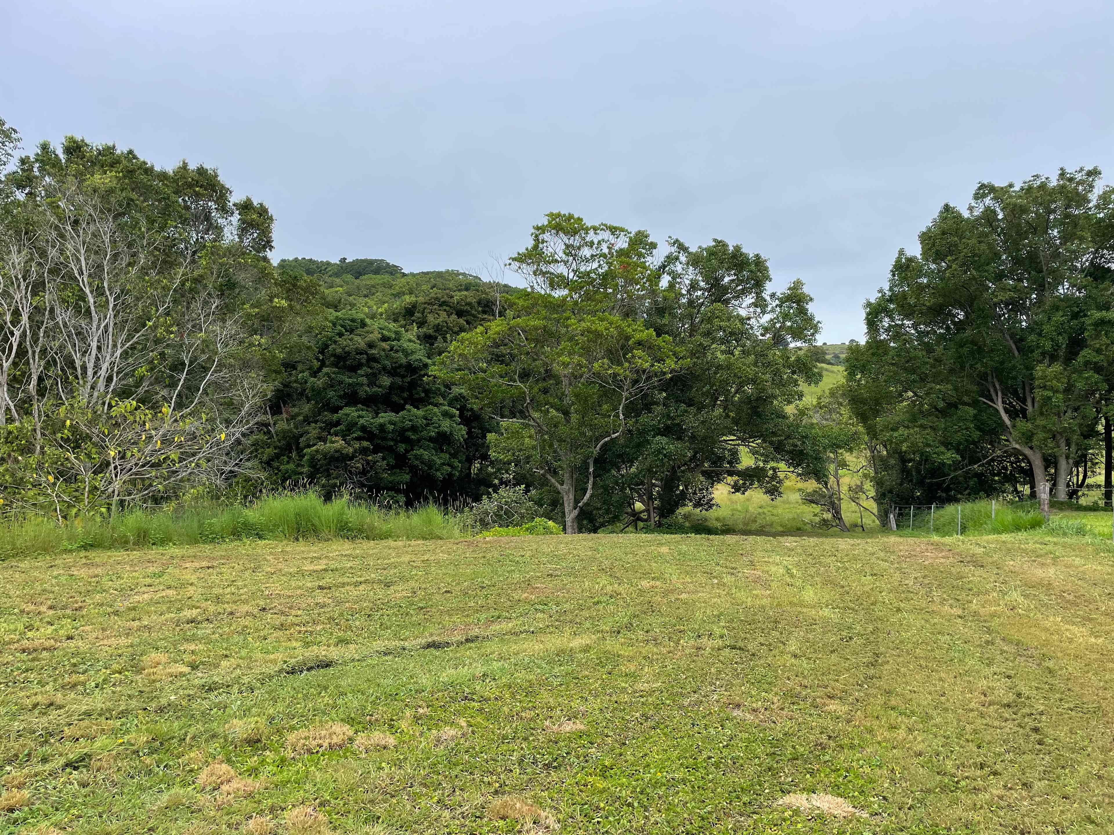 Amani Acres