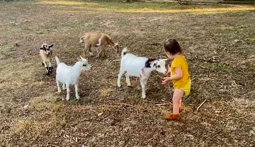 Angel checking out the little one.
