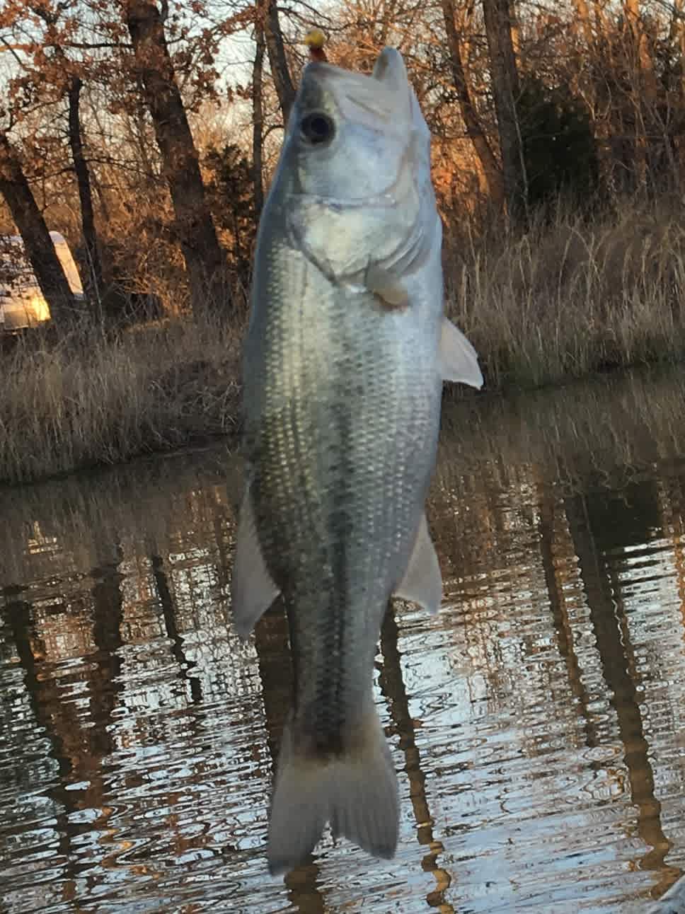 Her successful catch, 1 of six that day