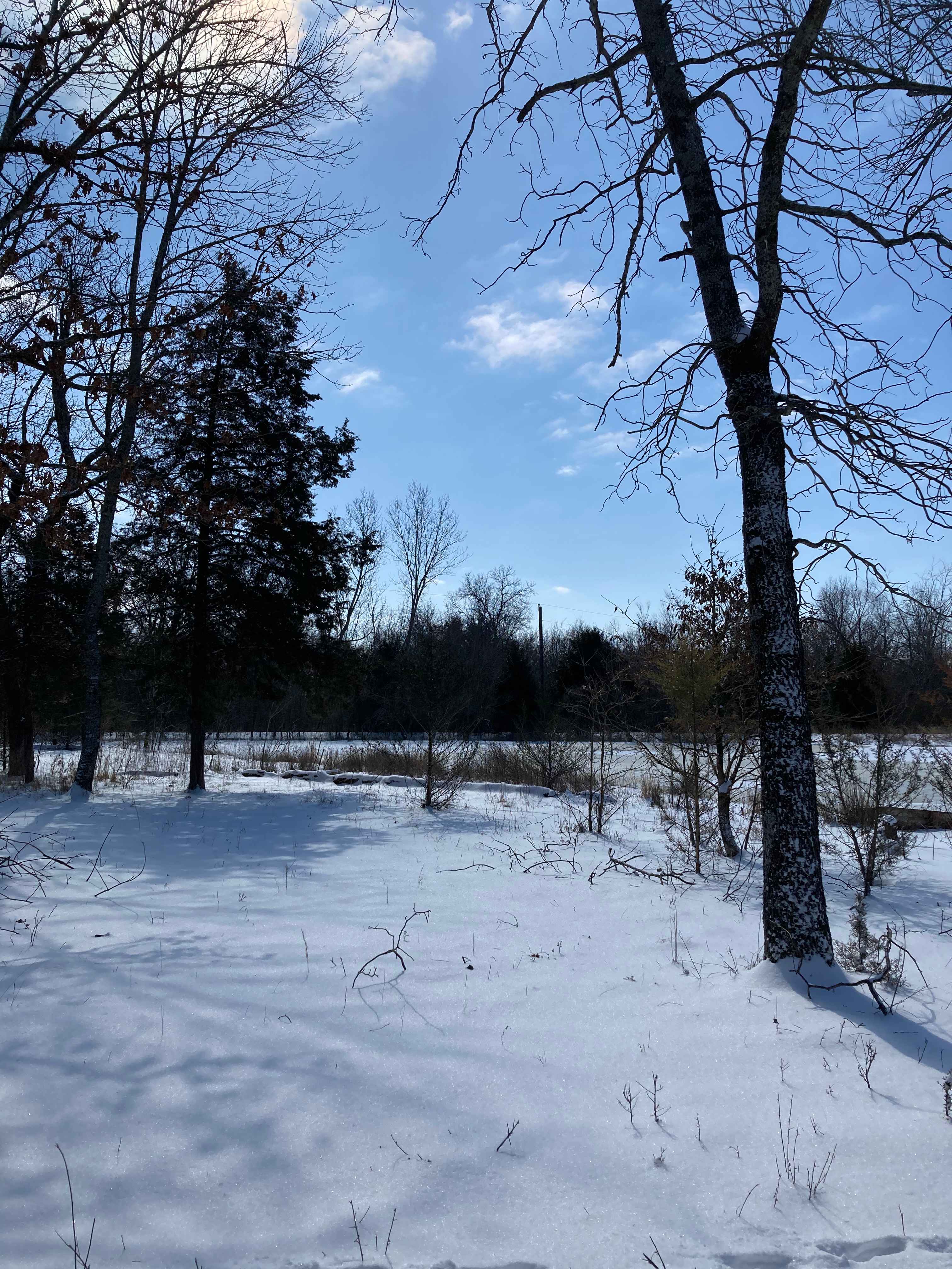 Camp Coyote